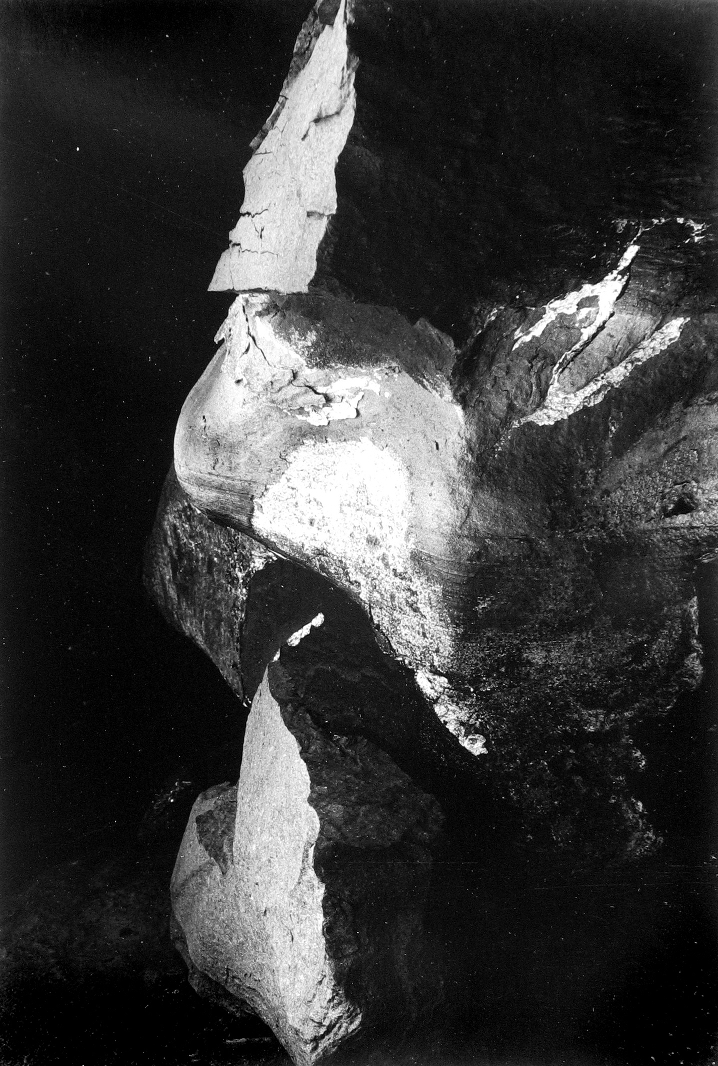 Minor White: Eye Mind Spirit 2008 Howard Greenberg Gallery