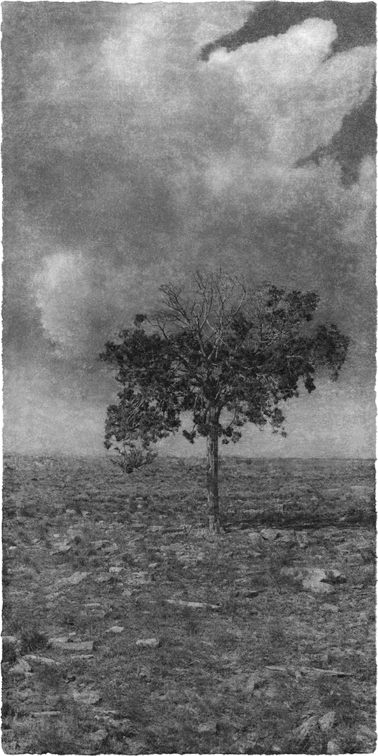 Jungjin Lee - Opening - Howard Greenberg Gallery - 2018