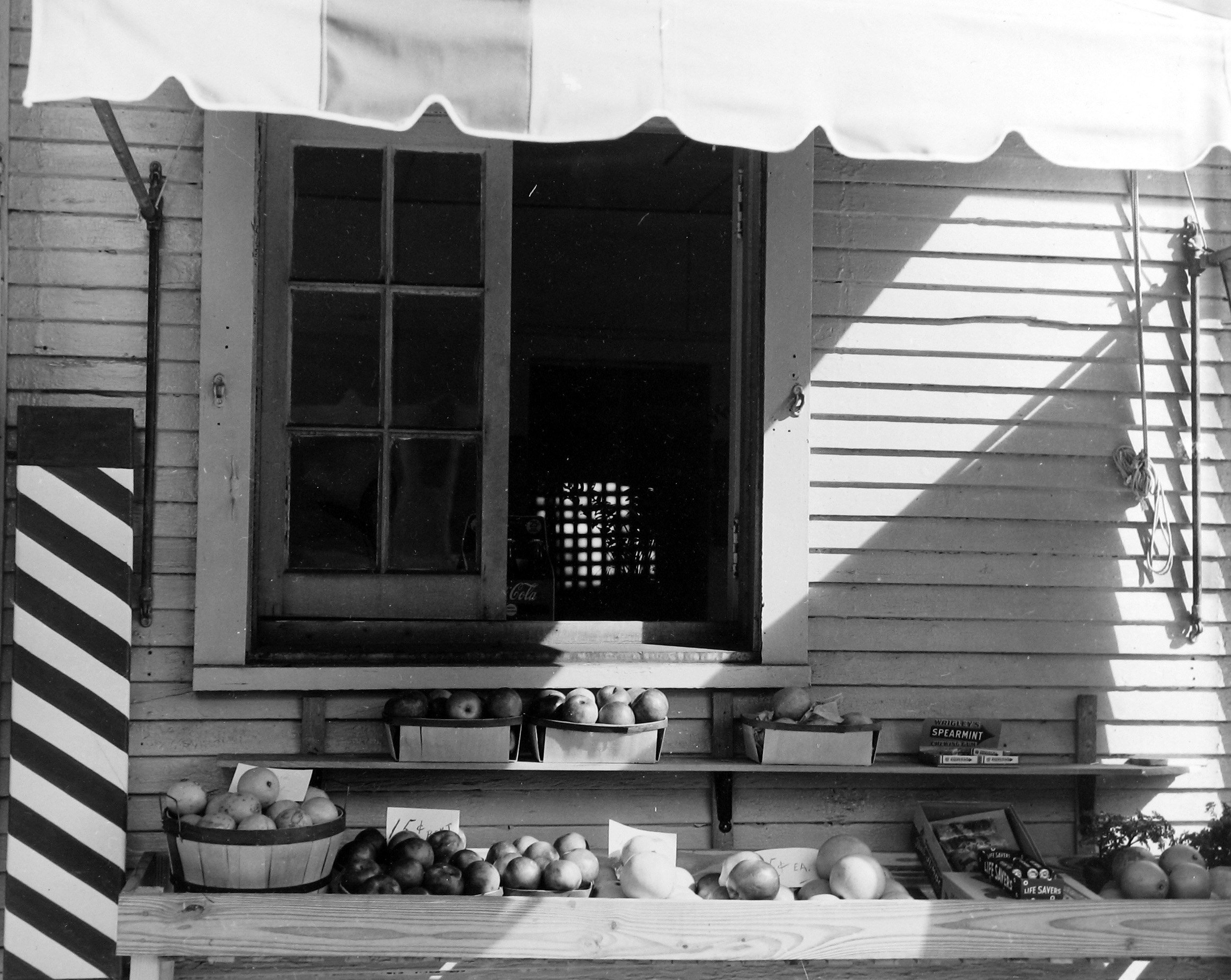Arnold Newman: The Early Work 1938-1942 2007 Howard Greenberg Gallery