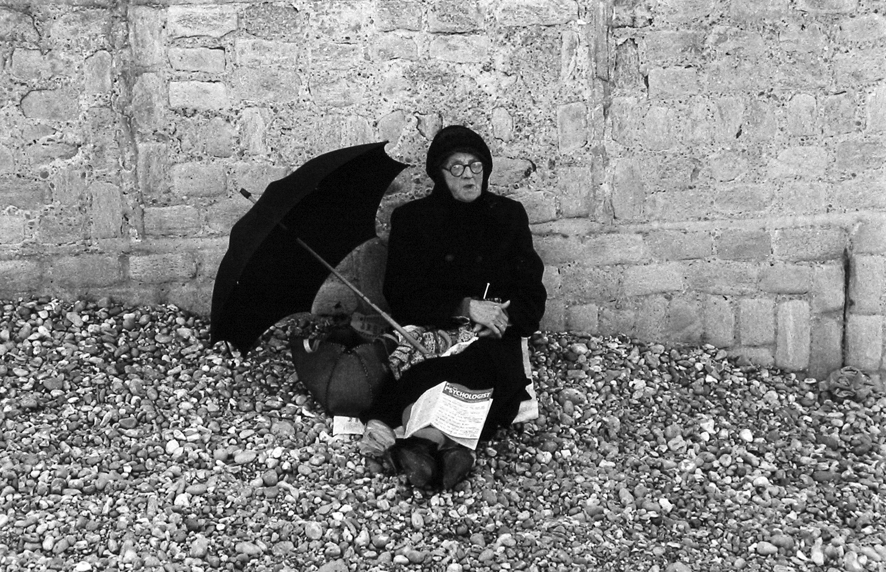 Bruce Davidson Inside/Outside Howard Greenberg Gallery 2003