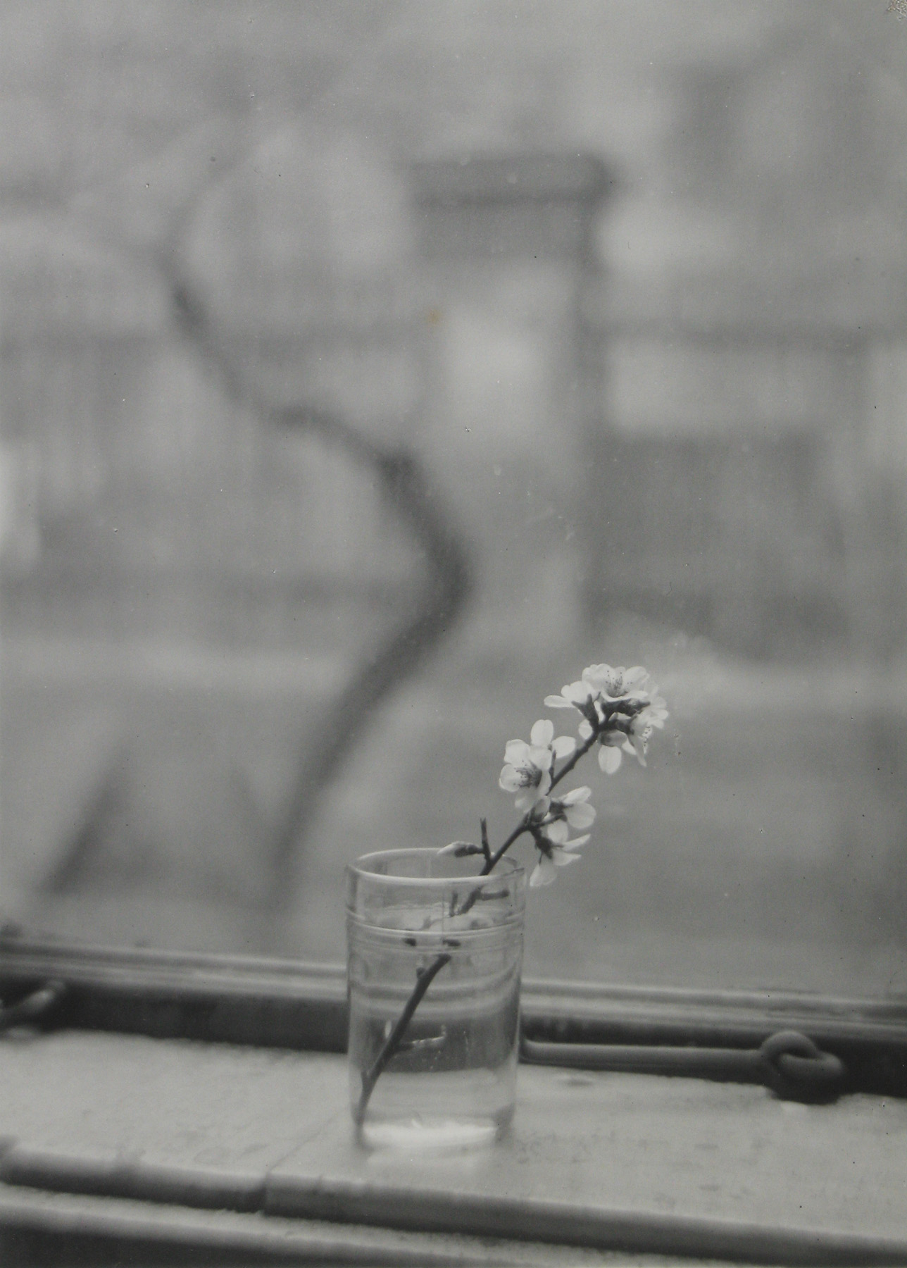 Czech Vision 2007 Howard Greenberg Gallery