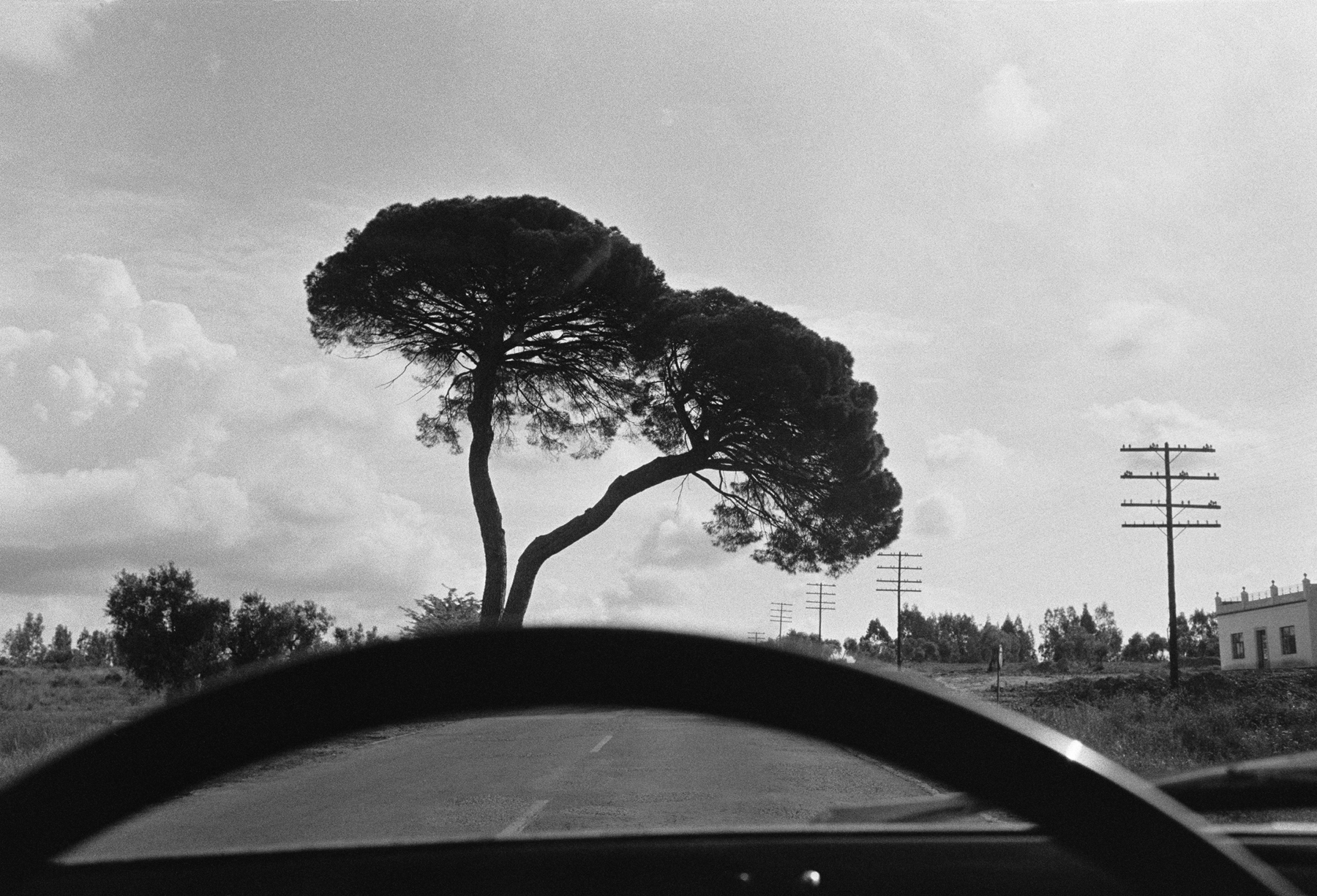 Joel Meyerowitz - European Trip: Photographs from the Car, 1968 2014 Howard Greenberg Gallery