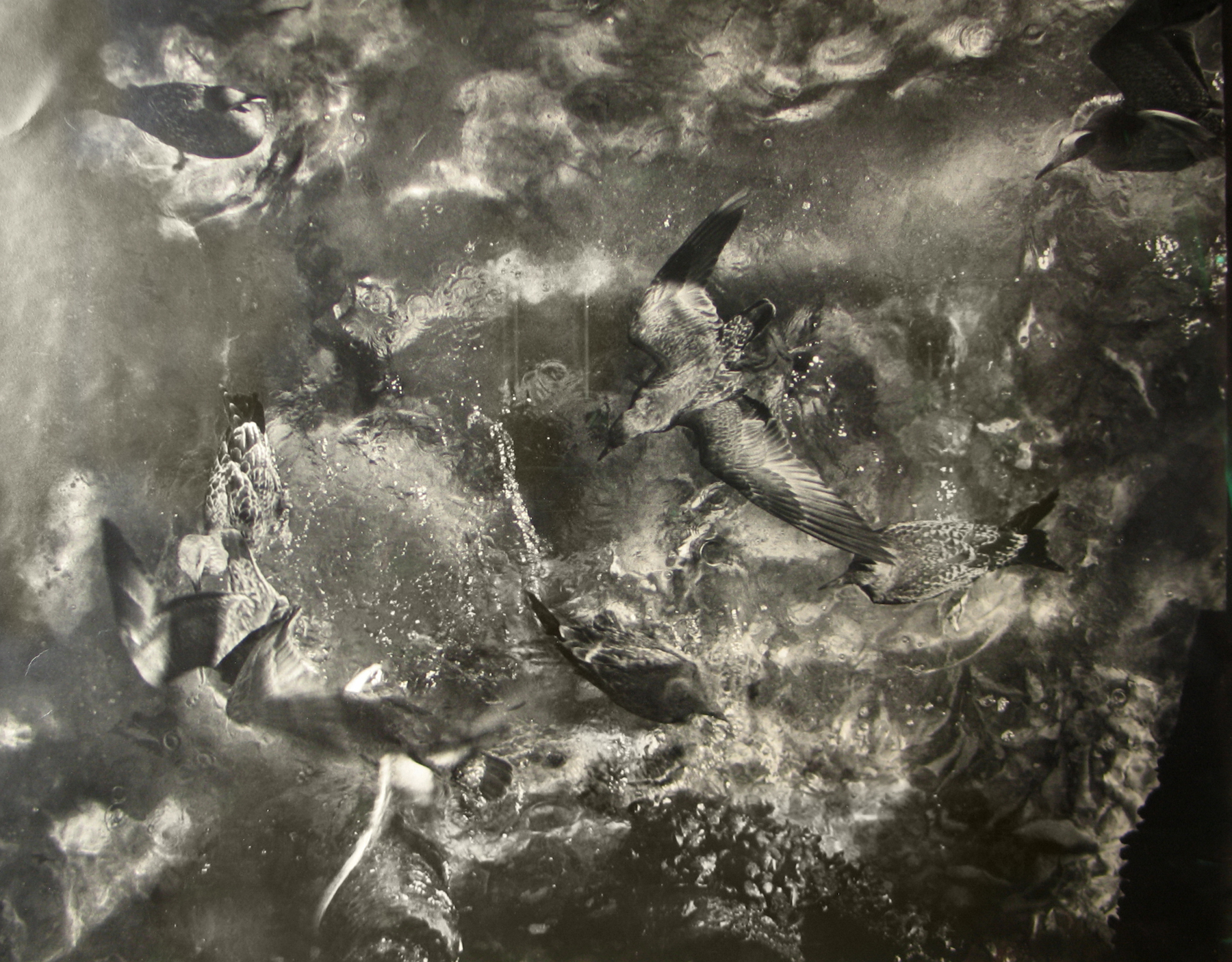 Sid Grossman - Howard Greenberg Gallery - 2017