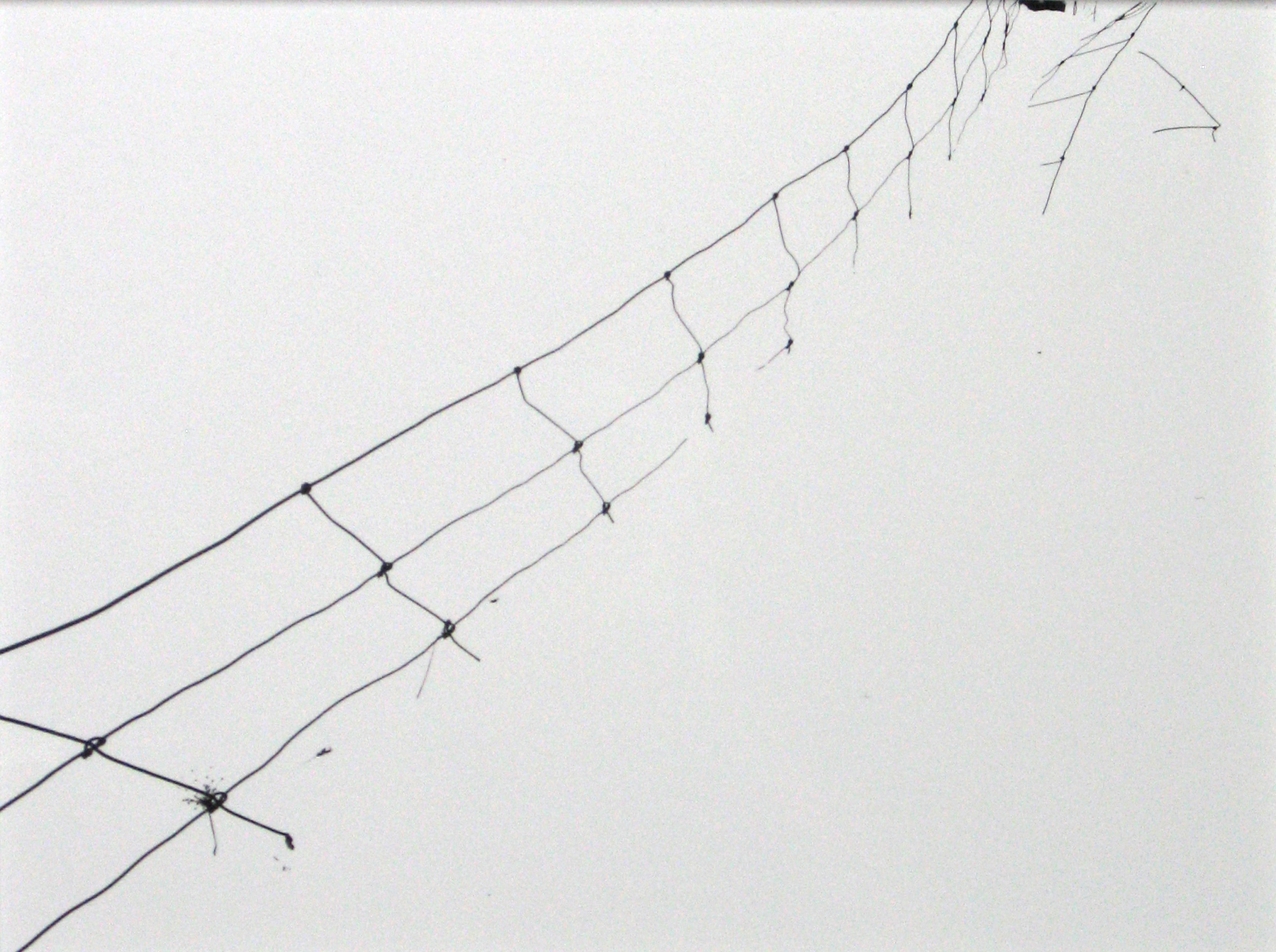 Staff Picks 2010 Howard Greenberg Gallery