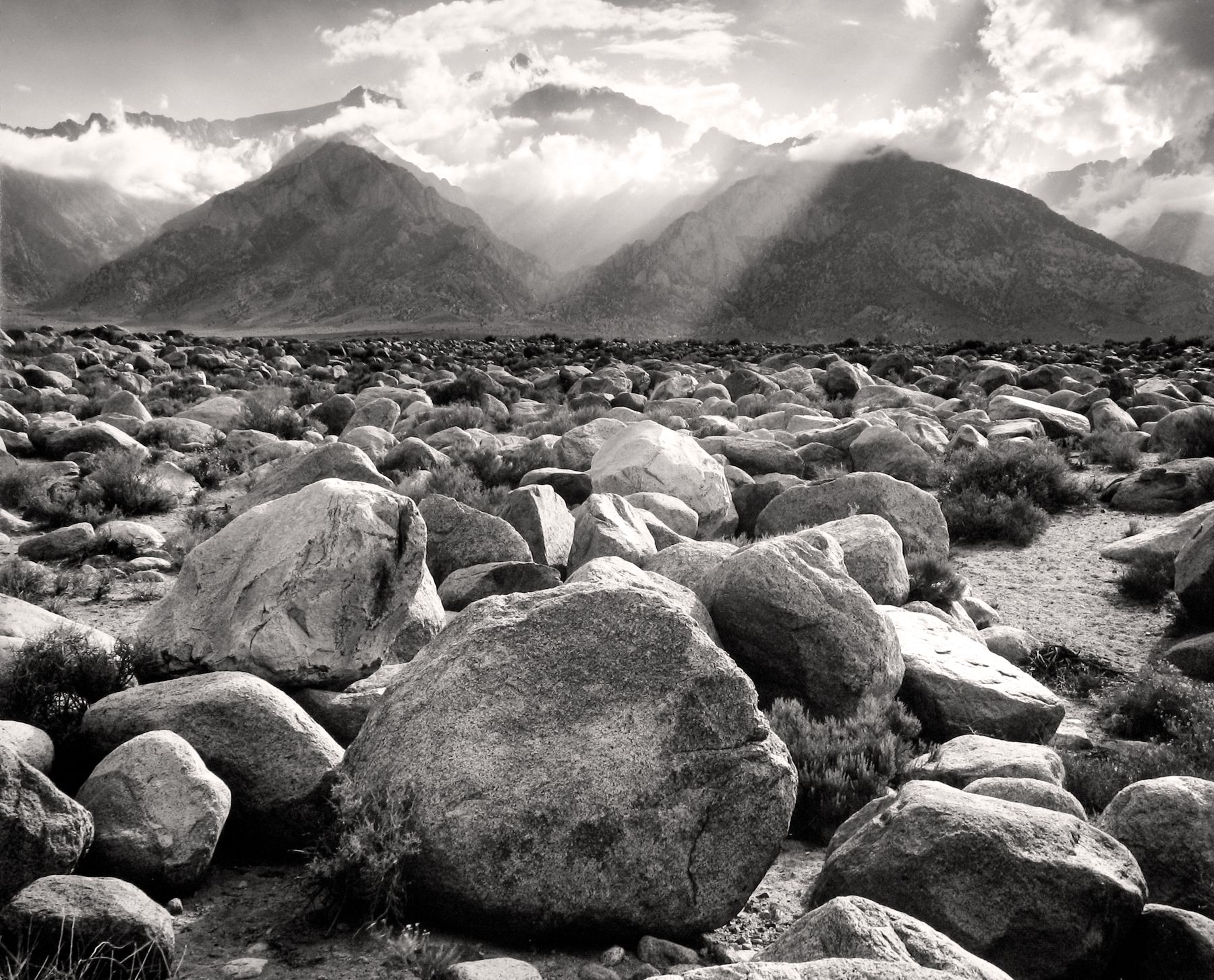 The Immigrants, Howard Greenberg Gallery, 2017