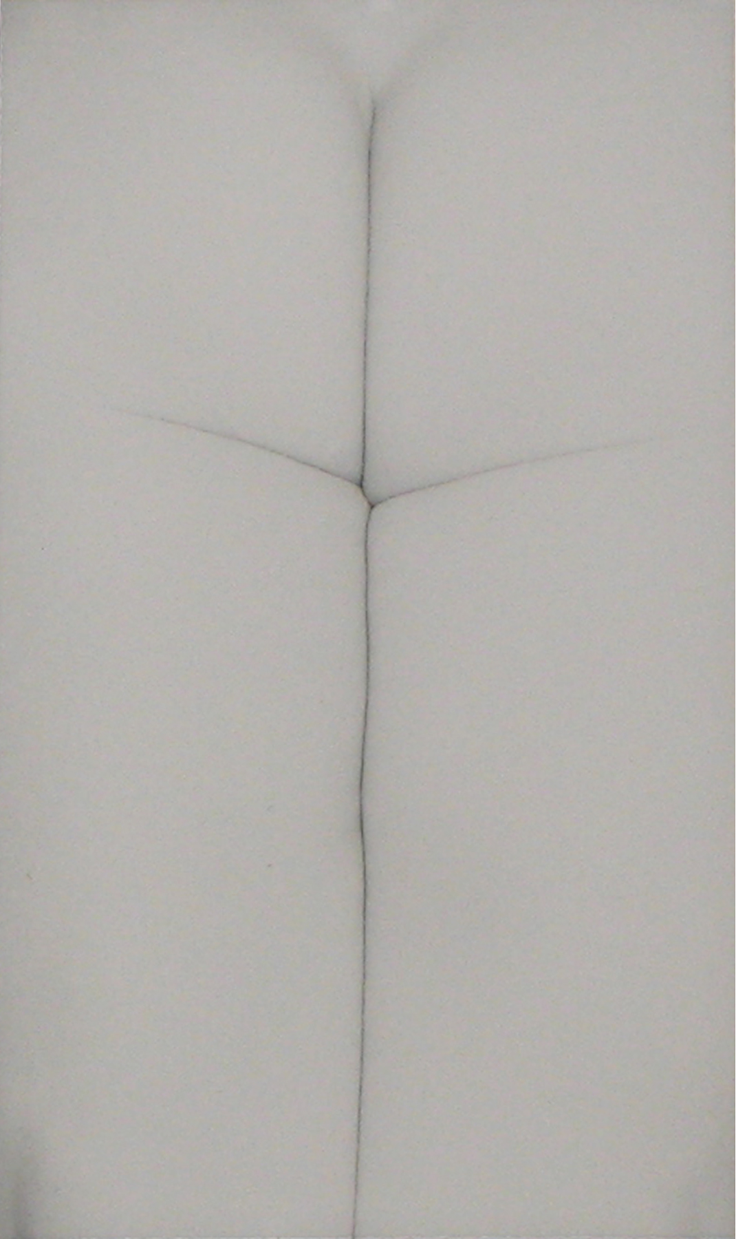 Selections From Private Collections 2011 Howard Greenberg Gallery