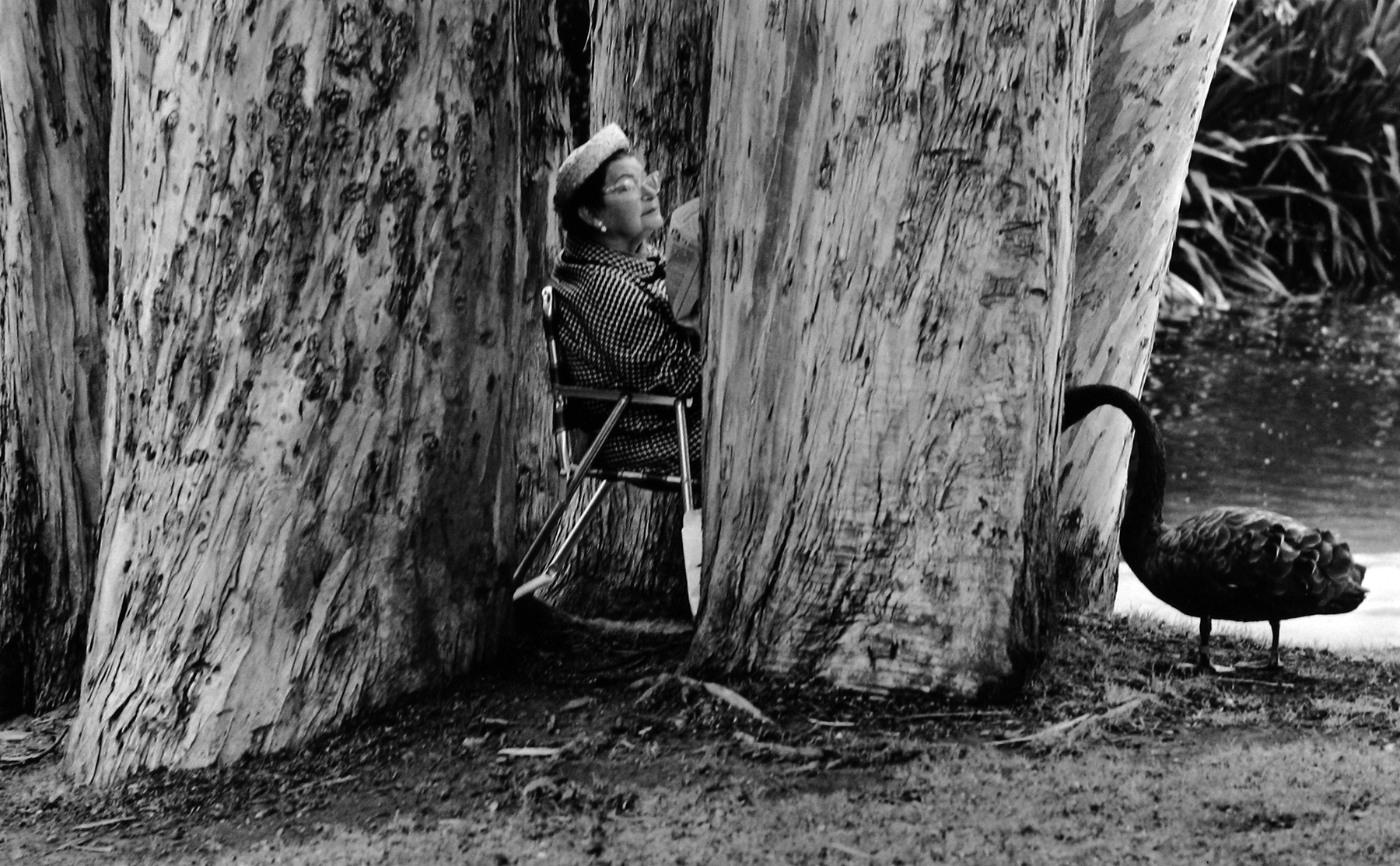 Dennis Stock: Altered States 2009 Howard Greenberg Gallery