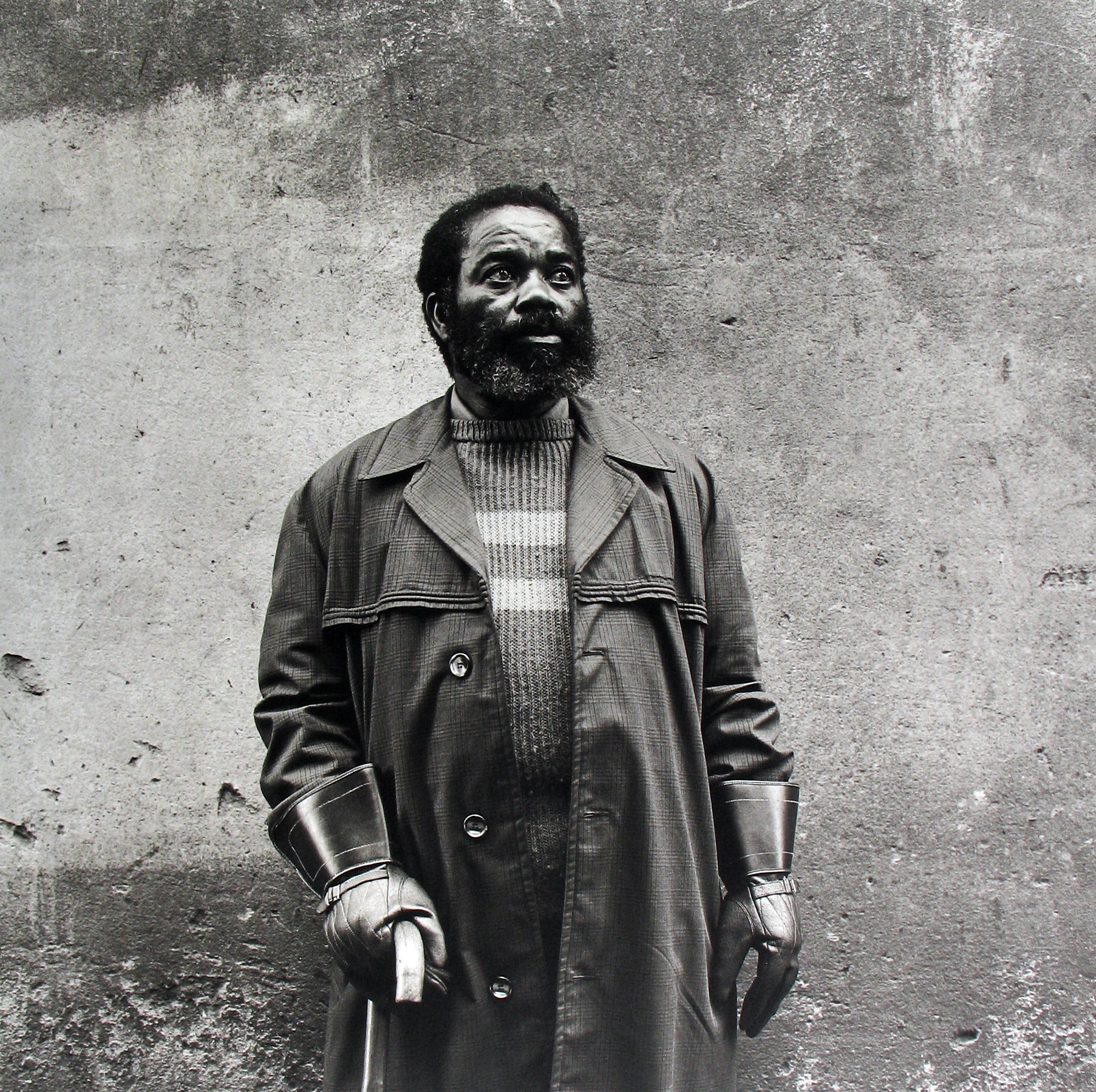 David Goldblatt: A seletion 2010 howard greenberg gallery