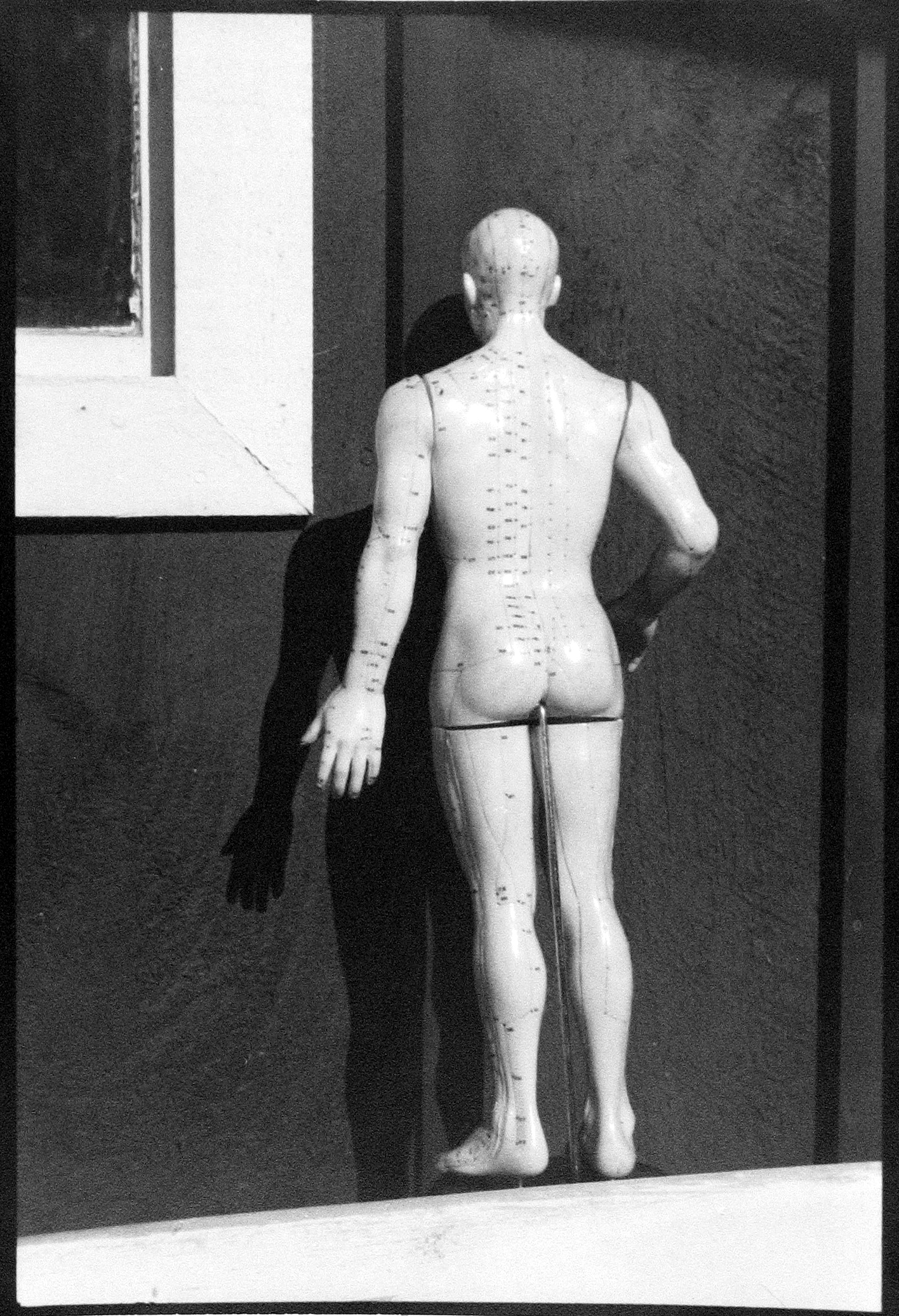 Six from the Seventies: The Last Years of Modern Photography 2004 Howard Greenberg Gallery