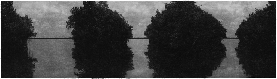 Jungjin Lee: Recent Projects - Works from Everglades - Howard Greenberg Gallery - 2015