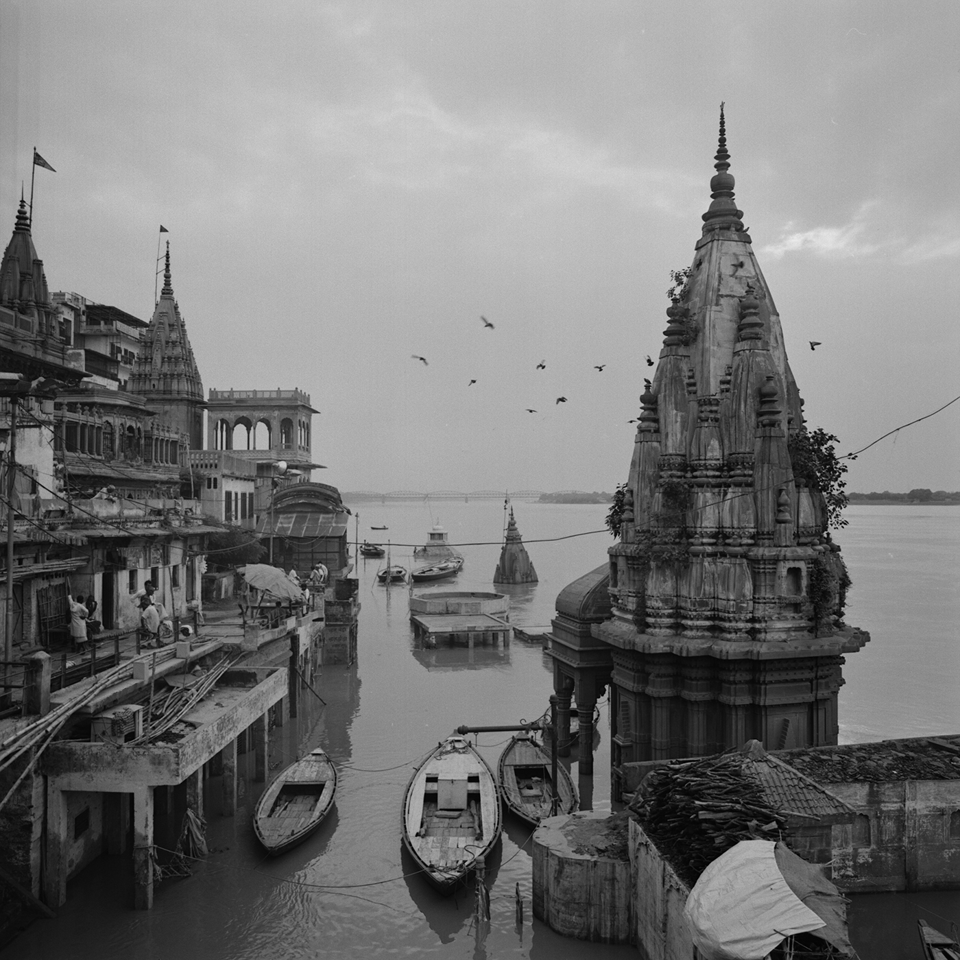 Kenro Izu: Eternal Light, Howard Greenberg Gallery, 2017