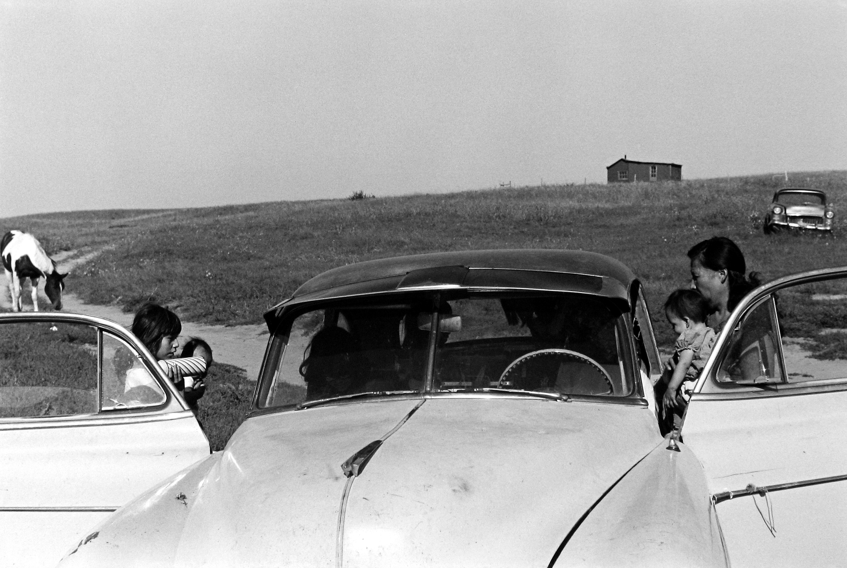 Staff Picks 2010 Howard Greenberg Gallery