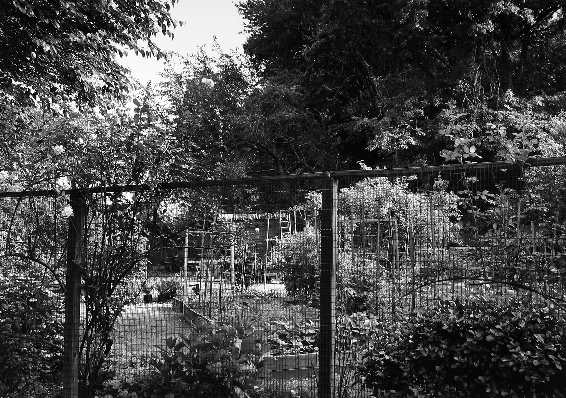 Frank Gohlke: Queens 2008 Howard Greenberg Gallery