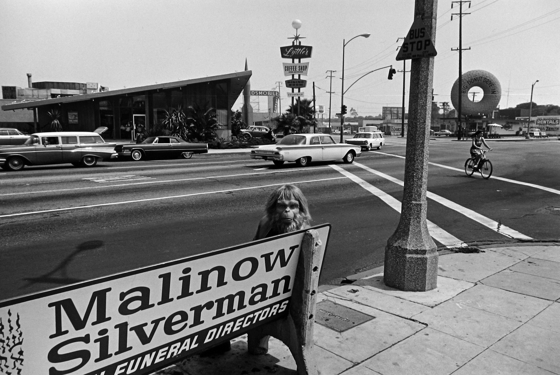 Dennis Stock: Altered States 2009 Howard Greenberg Gallery