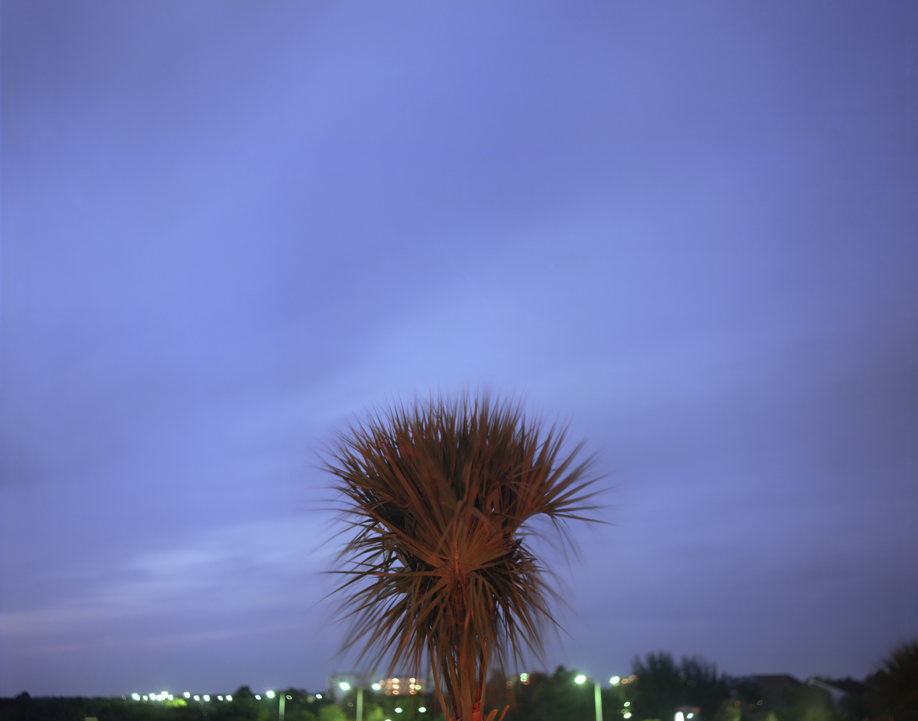 Joel Meyerowitz: Between the Dog and the Wolf, Howard Greenberg Gallery, 2017