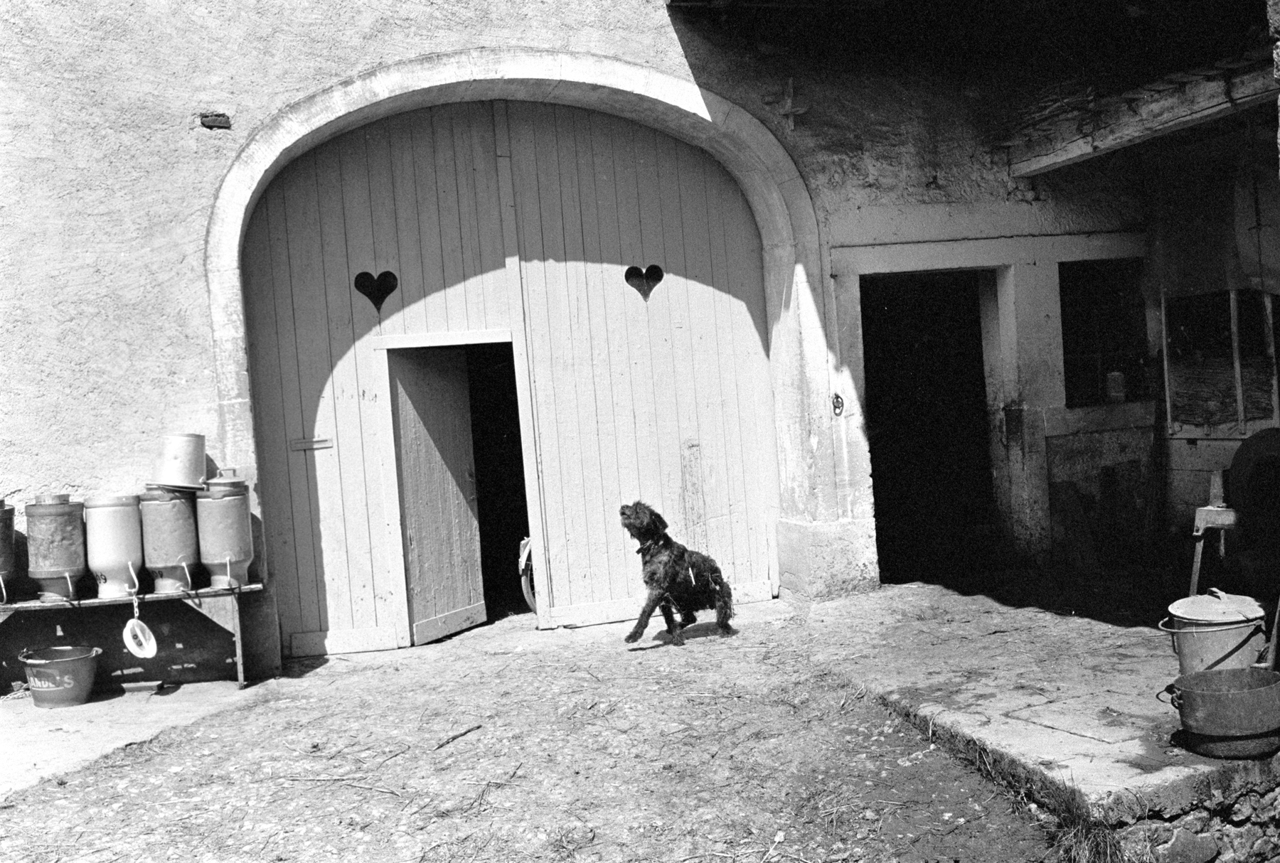 Joel Meyerowitz - European Trip: Photographs from the Car, 1968 2014 Howard Greenberg Gallery