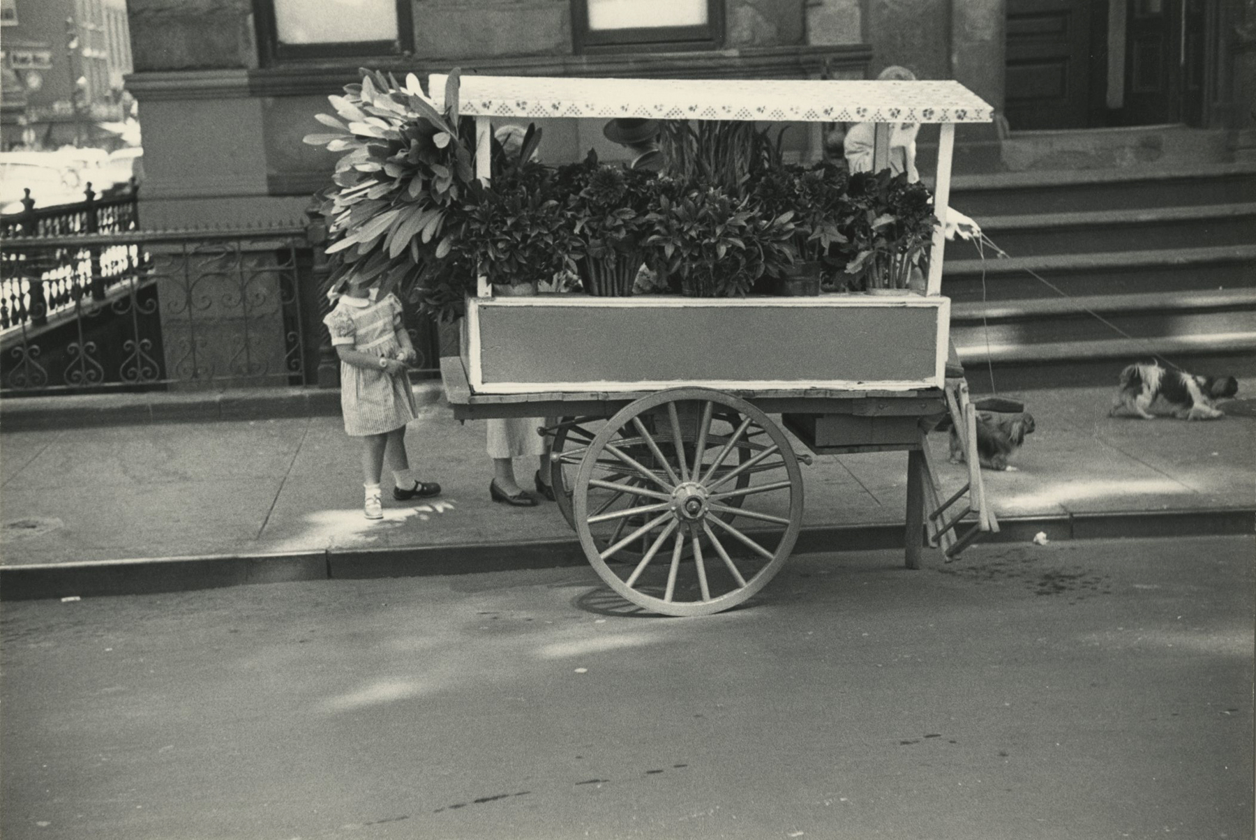 Saul Leiter - Howard Greenberg Gallery - Early Black and White - 2014
