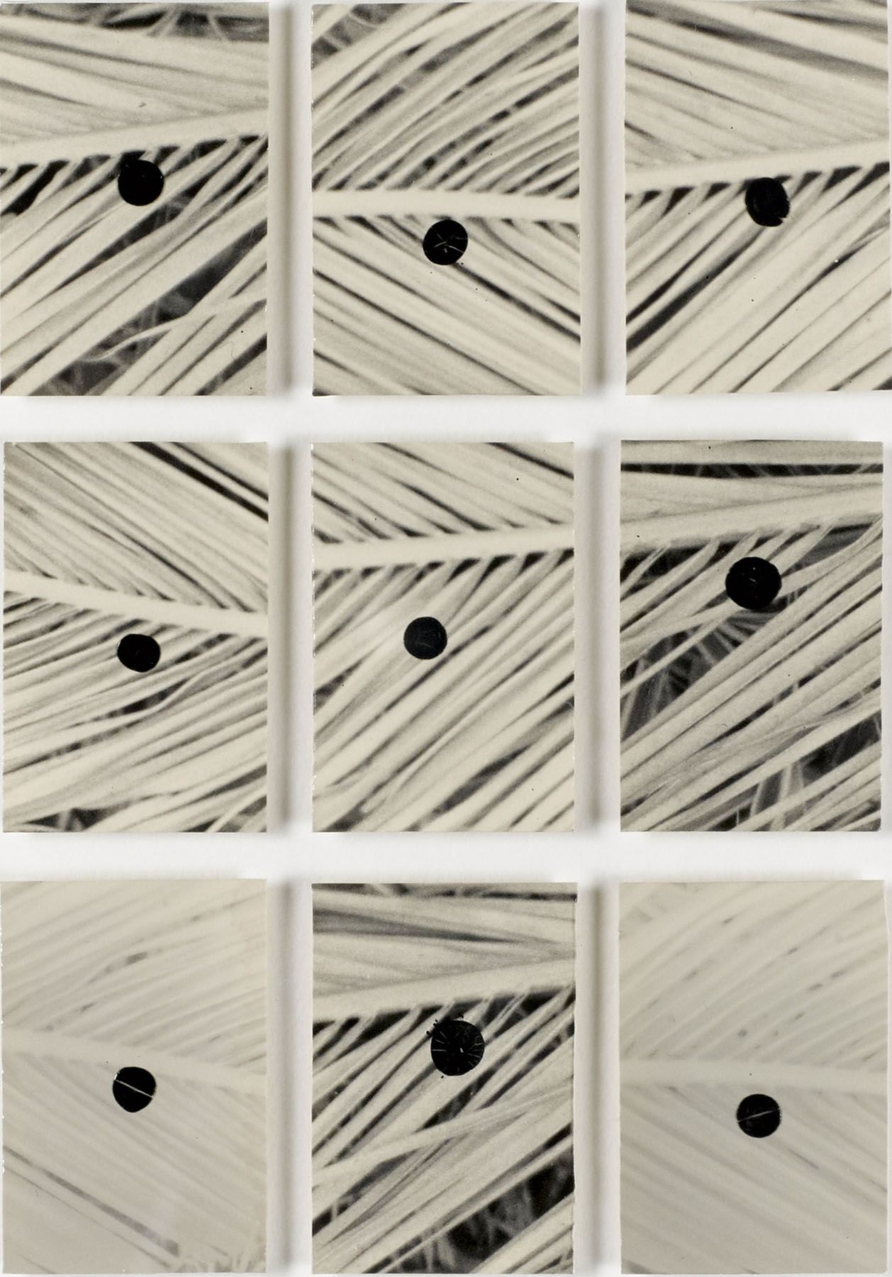 Bruno V. Roels - The Owls Are Not What They Seem - 2017