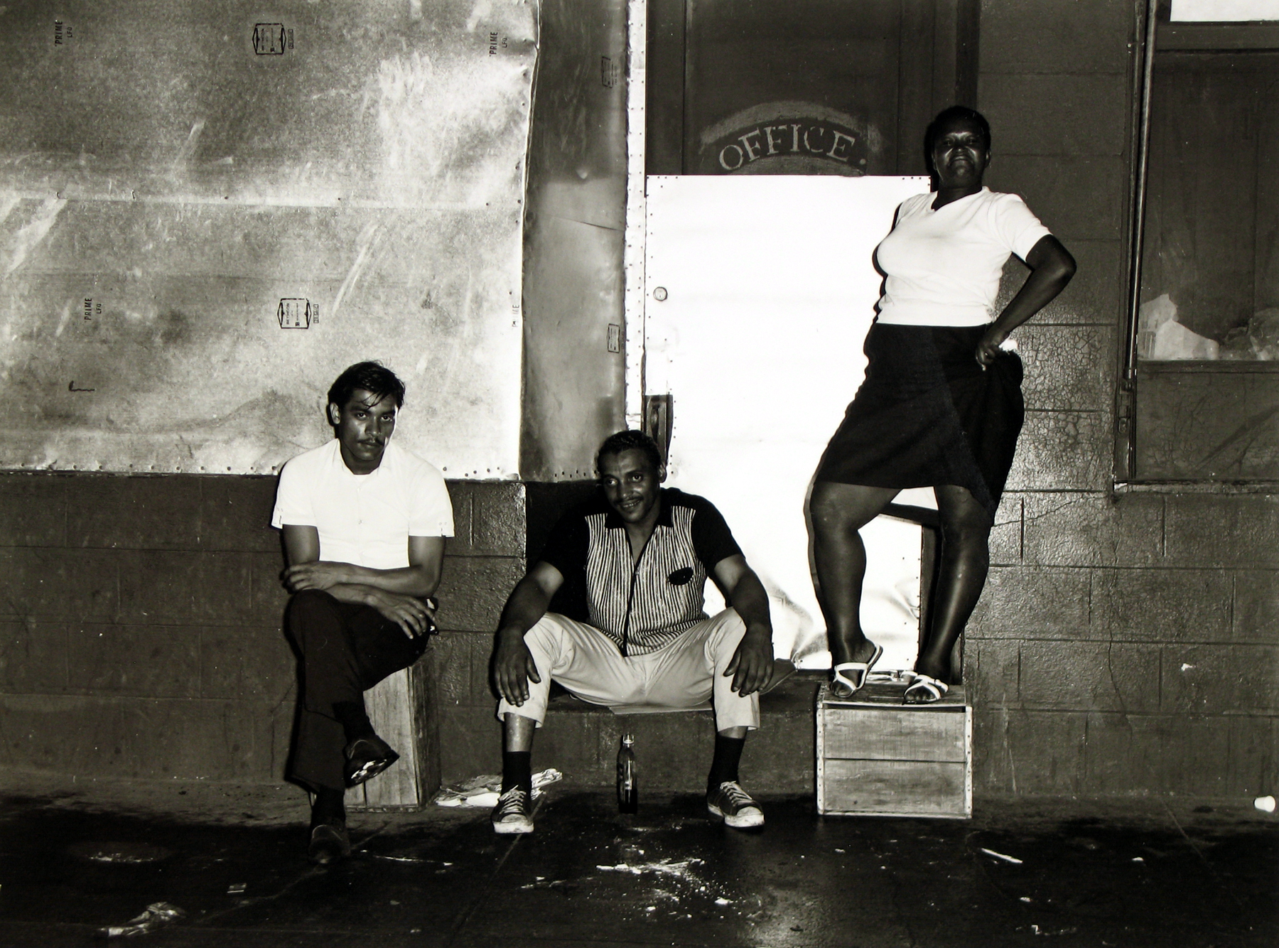 Bruce Davidson: East 100th Street, The 1970 MoMA Show 2009 Howard Greenberg Gallery