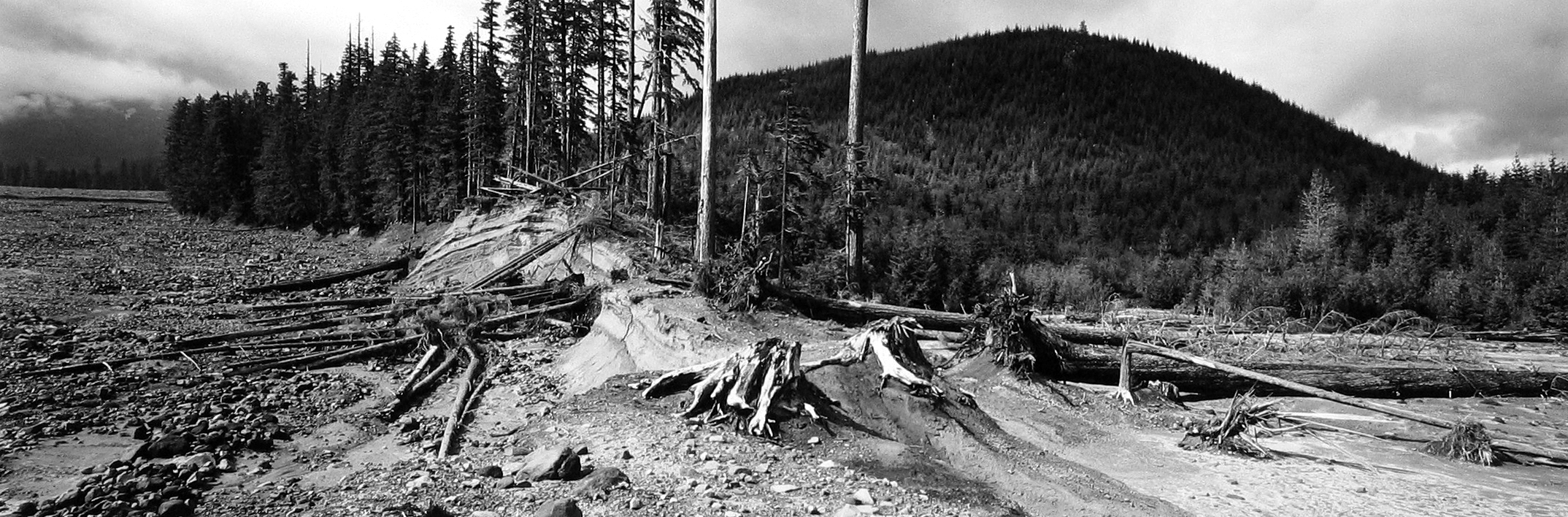 Frank Gohlke: Mount St. Helens 2005 howard greenberg gallery
