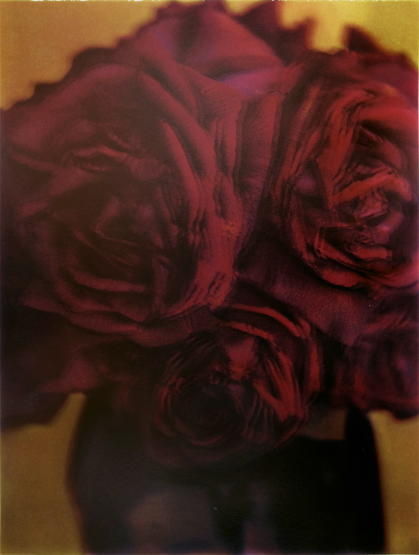 Sarah Moon: Now and Then 2012 Howard Greenberg Gallery