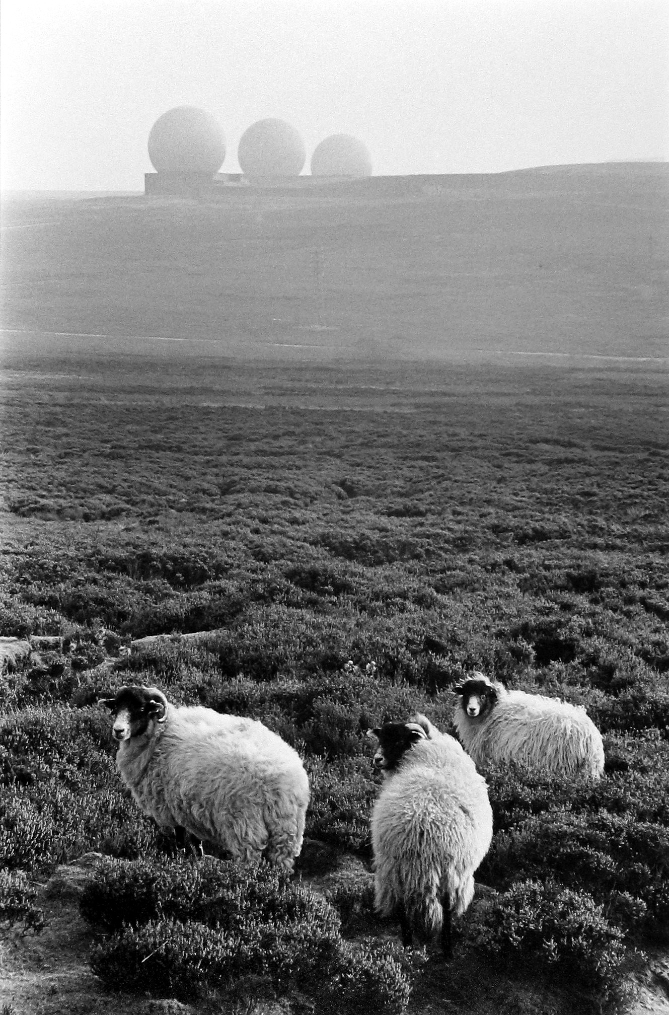 Staff Picks IV - Howard Greenberg Gallery - 2014