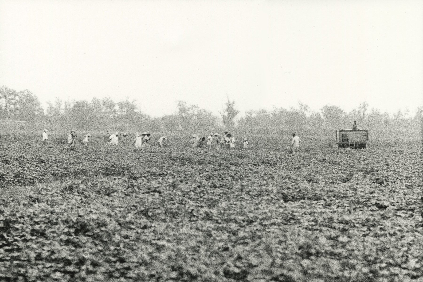 Bruce Davidson: Time of Change 2013 Howard Greenberg Gallery