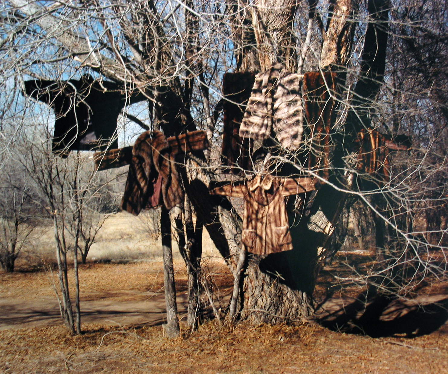 Family: Photographs from Home 2005 Howard Greenberg Gallery