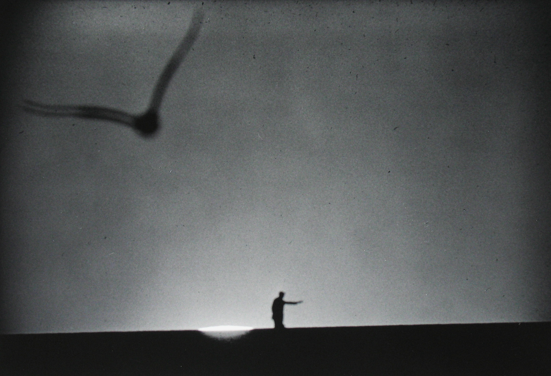 Staff Picks 2010 Howard Greenberg Gallery