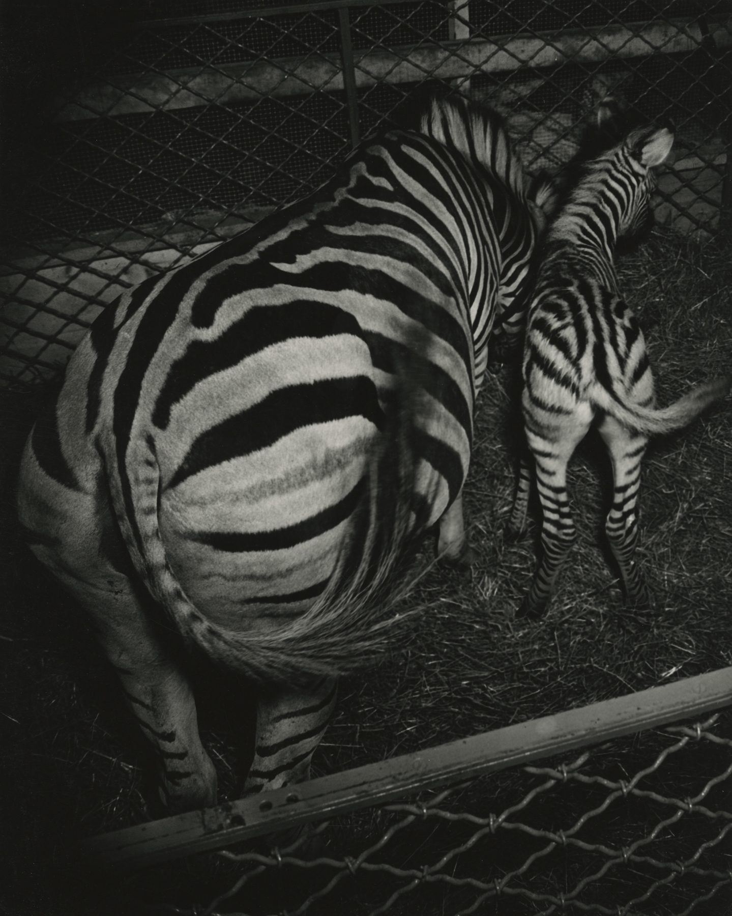 Weegee - Howard Greenberg Gallery - 2017