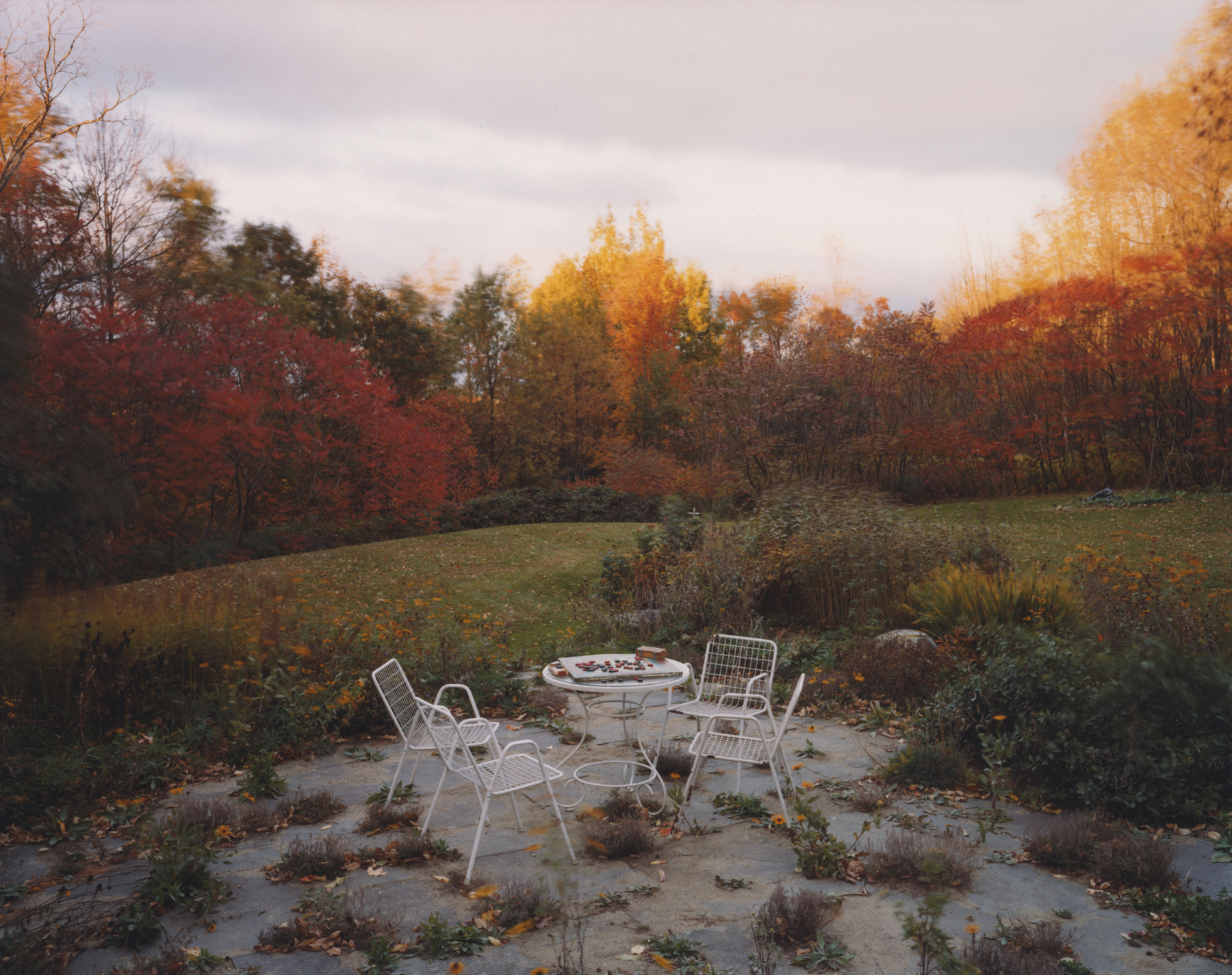 Family: Photographs from Home 2005 Howard Greenberg Gallery