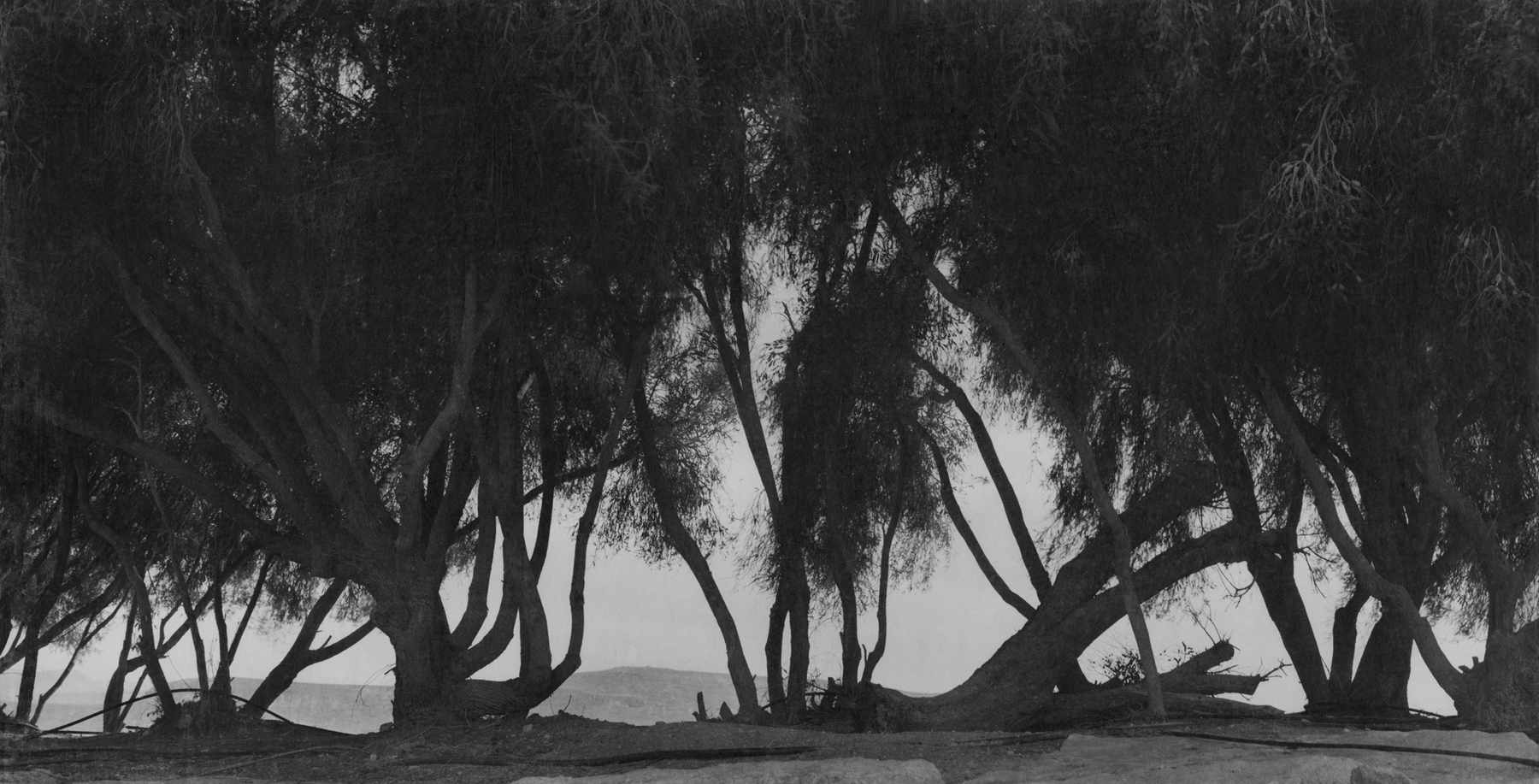 Jungjin Lee: Recent Projects - Works from Unnamed Road - Howard Greenberg Gallery - 2015