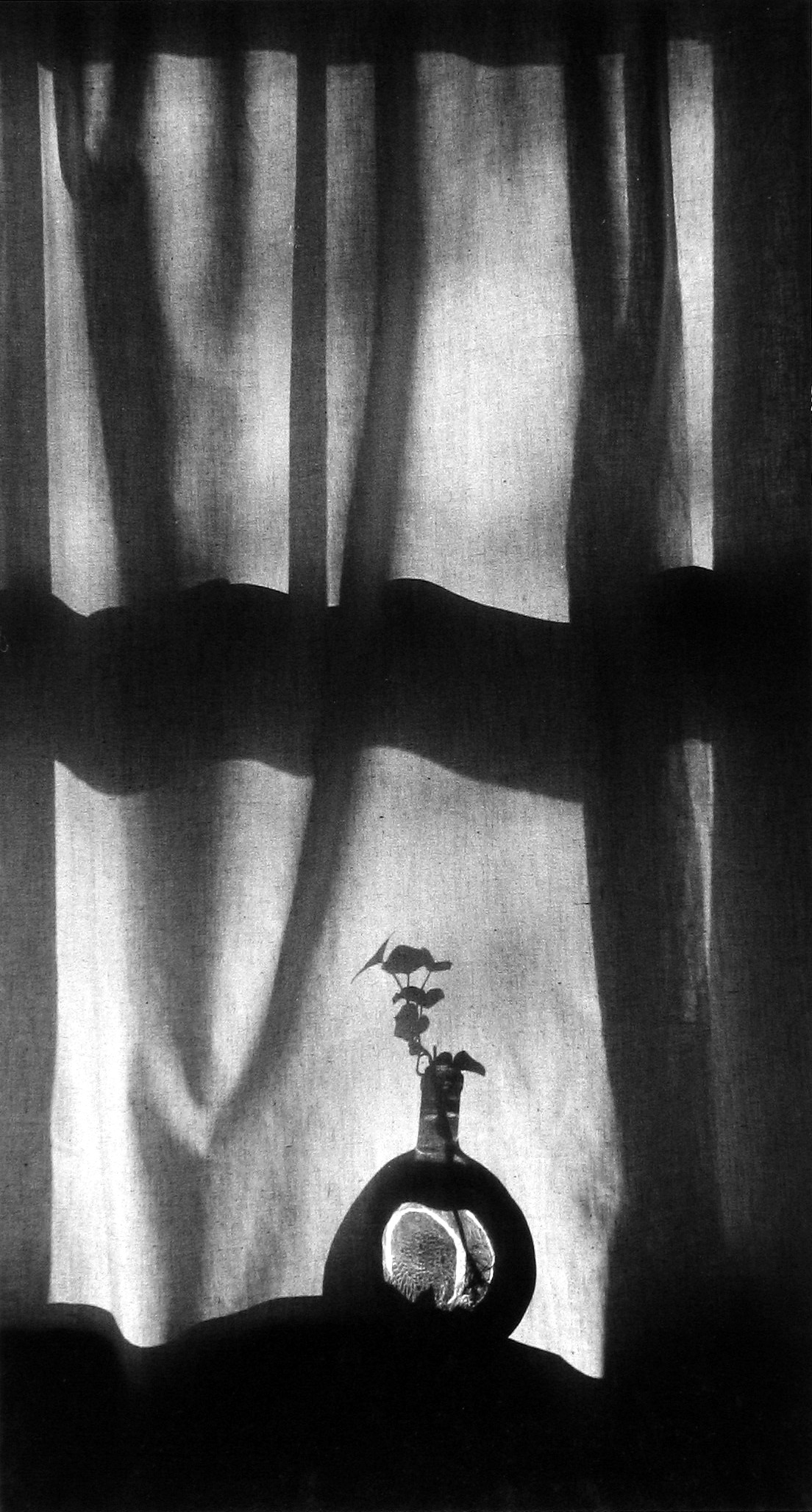 Staff Picks VI - Howard Greenberg Gallery - 2017