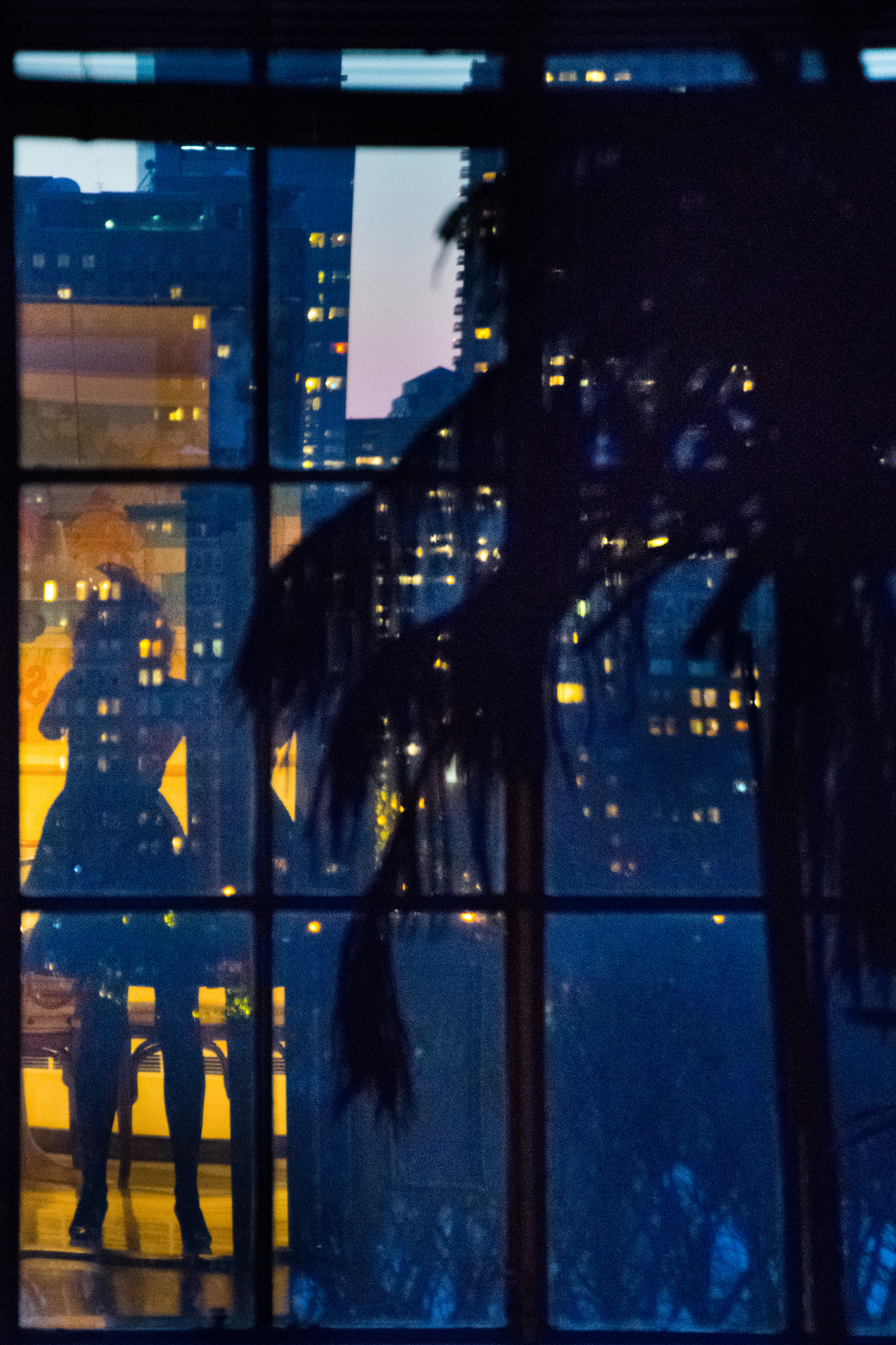 Upon Reflection Photographs by Judy Glickman Lauder Howard Greenberg Gallery 2017