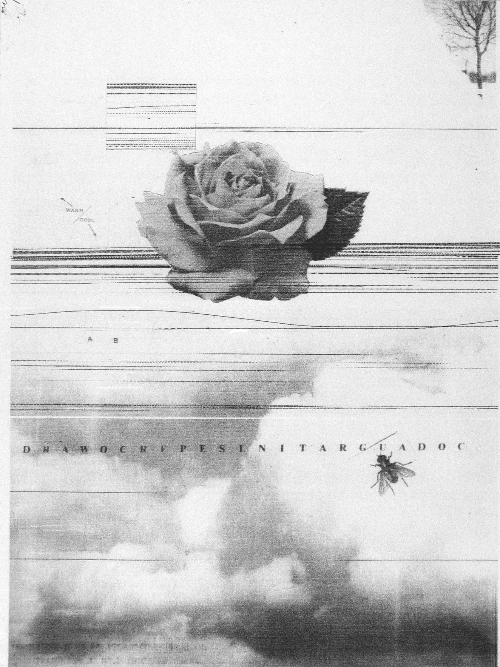 Six from the Seventies: The Last Years of Modern Photography 2004 Howard Greenberg Gallery