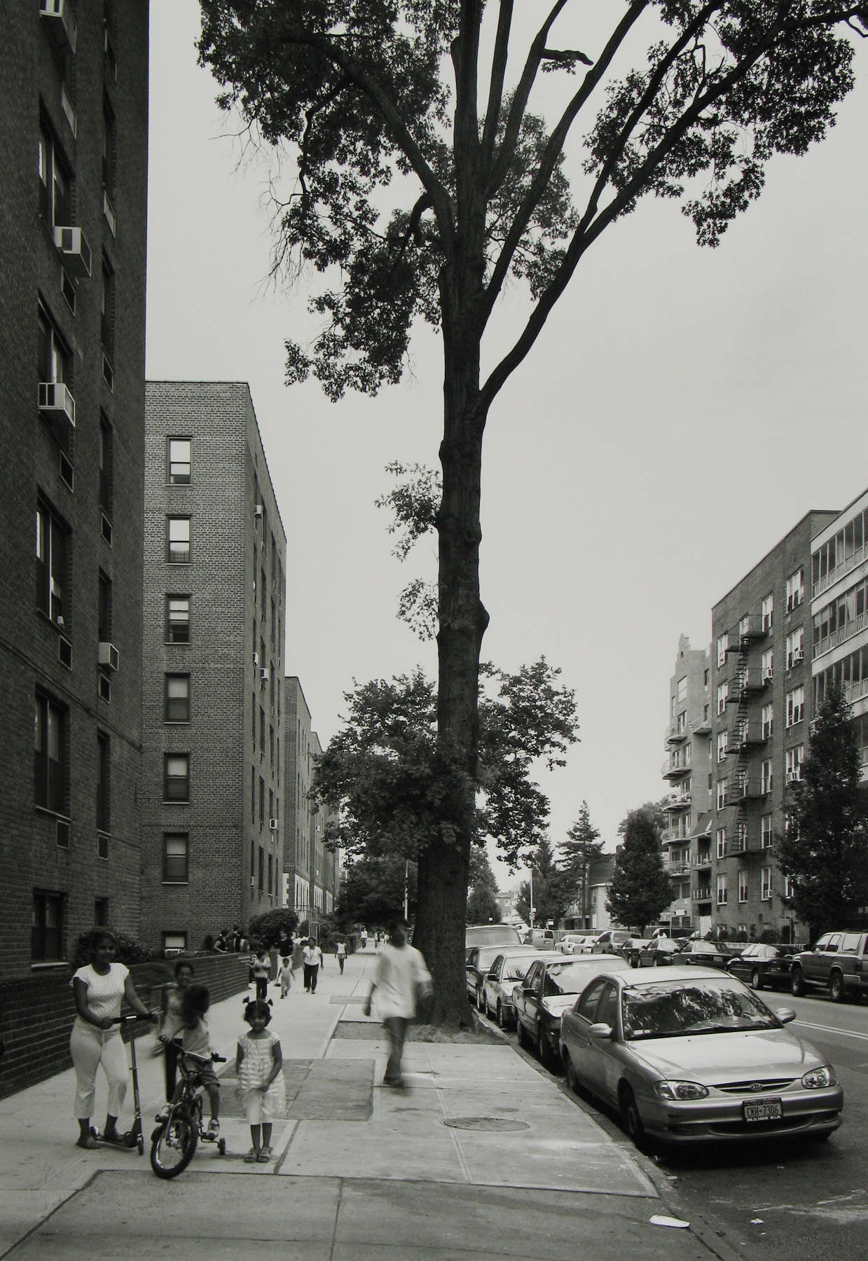 Frank Gohlke: Queens 2008 Howard Greenberg Gallery