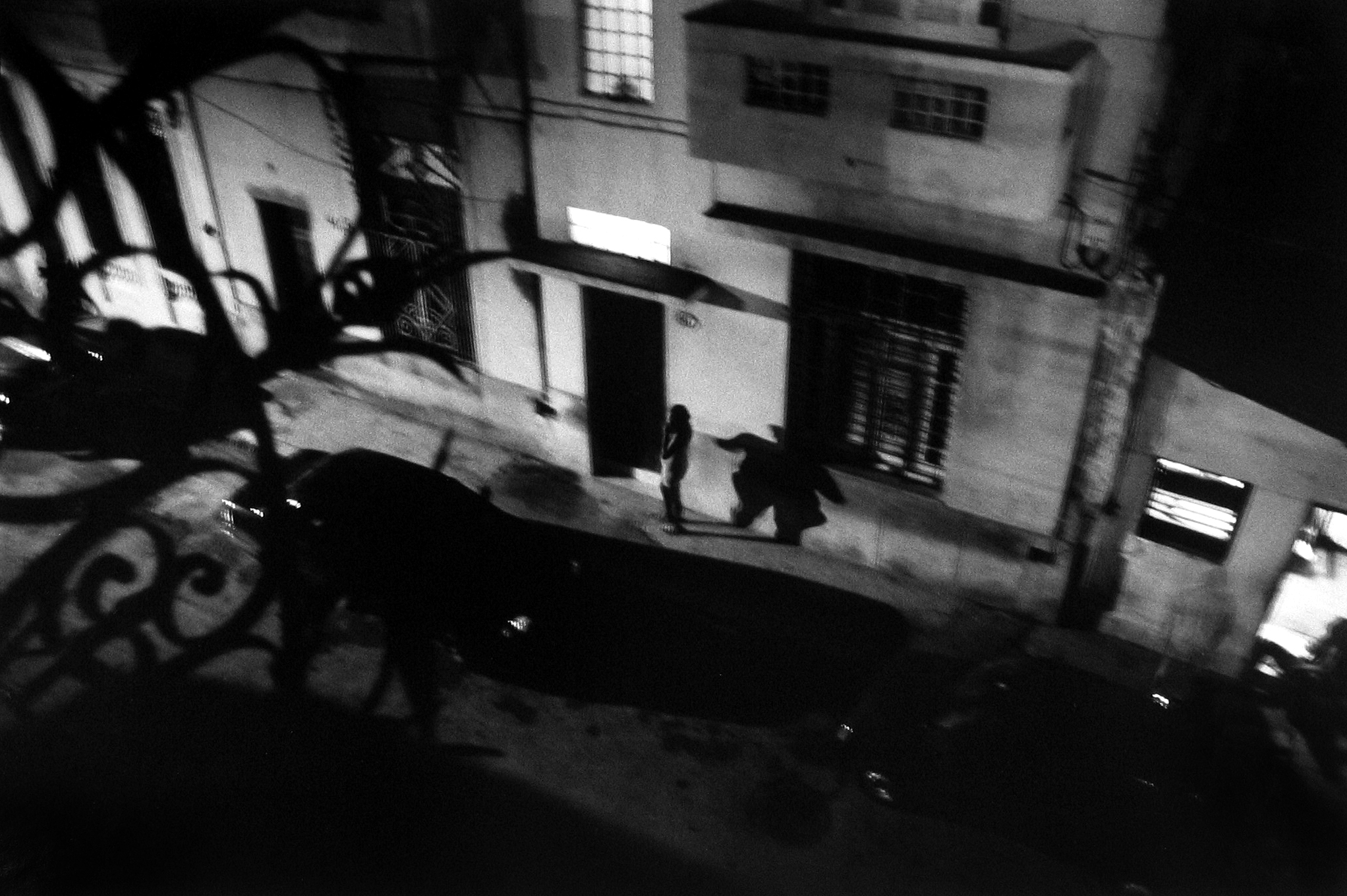 Upon Reflection Photographs by Judy Glickman Lauder Howard Greenberg Gallery 2017