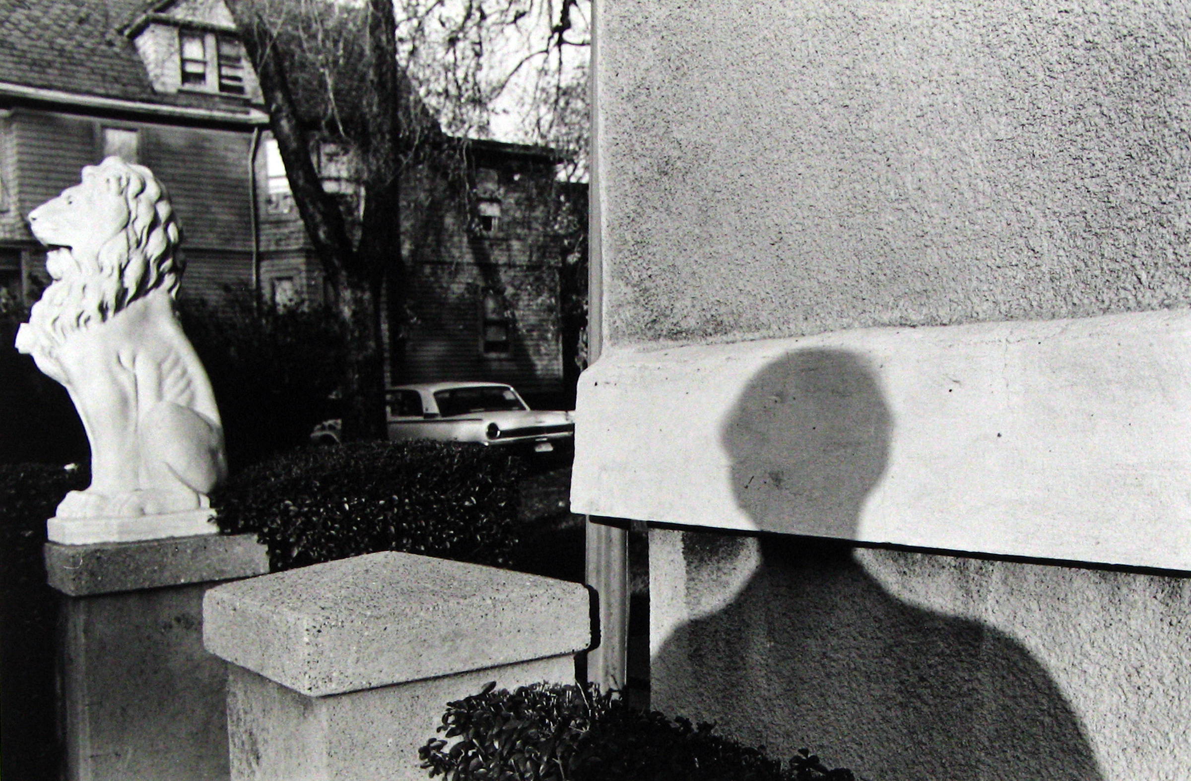 Selections From Private Collections 2011 Howard Greenberg Gallery