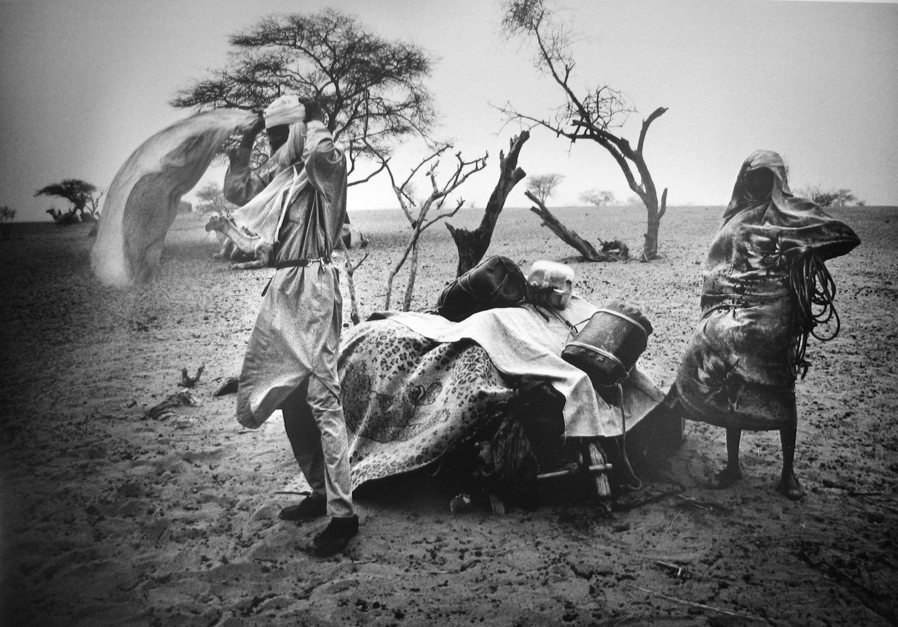 Beyond Words: Photography in the New Yorker 2011 Howard Greenberg Gallery