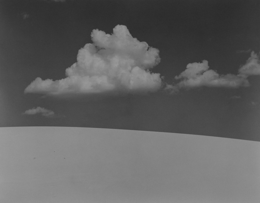 Staff Picks VI - Howard Greenberg Gallery - 2017 - Edward Weston