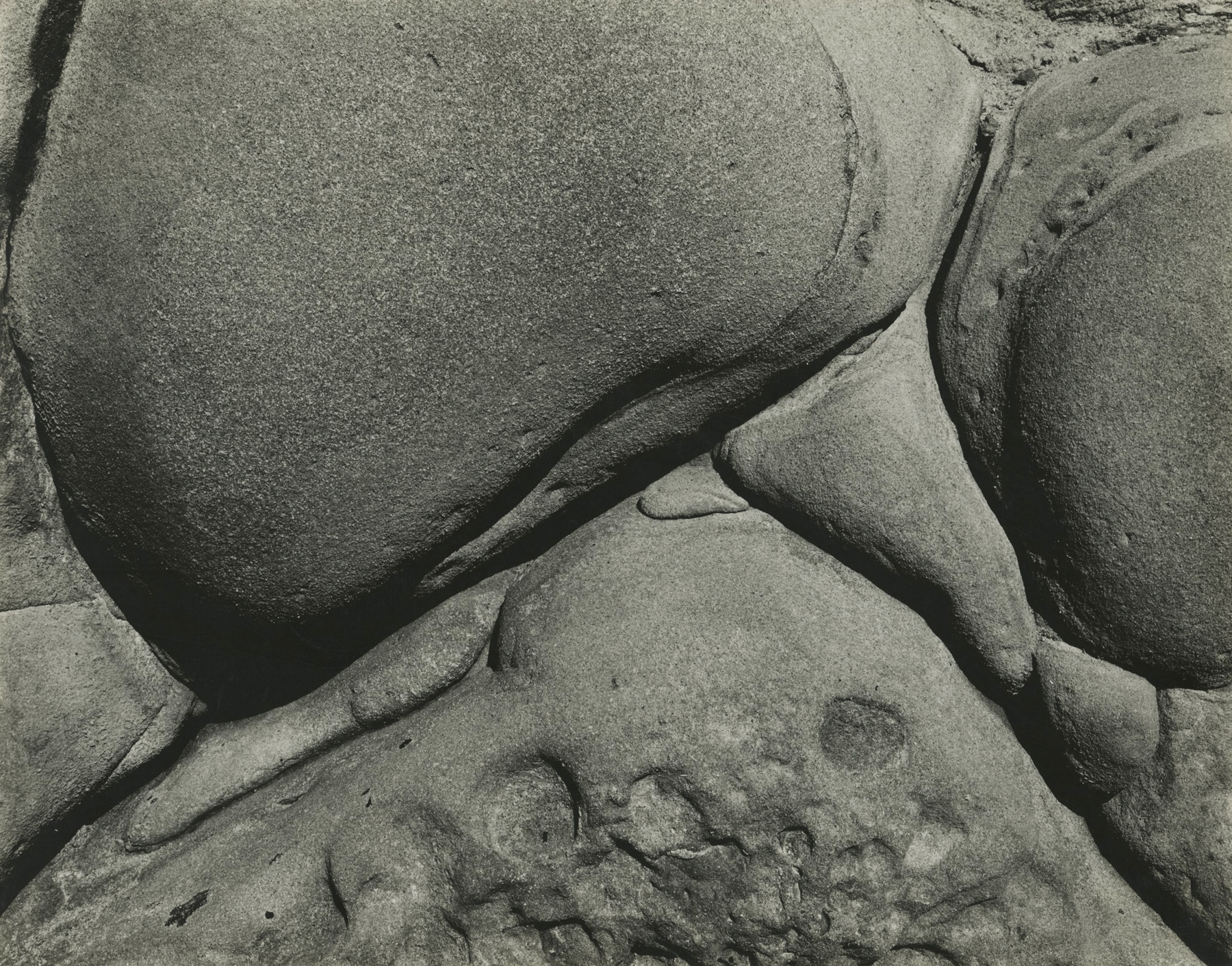 Staff Picks VI - Howard Greenberg Gallery - 2017 - Edward Weston