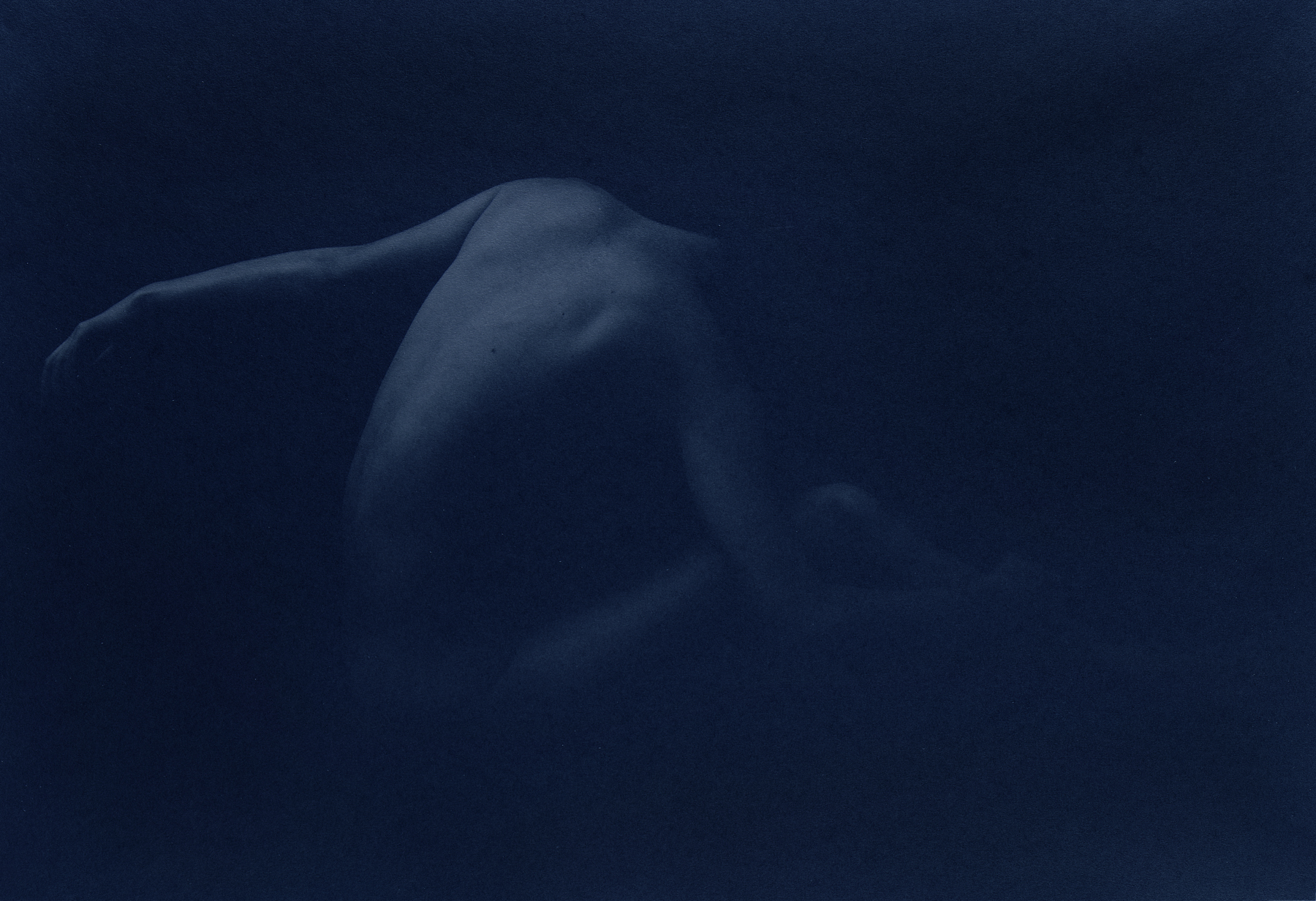 Kenro Izu: Blue 2004 Howard Greenberg gallery