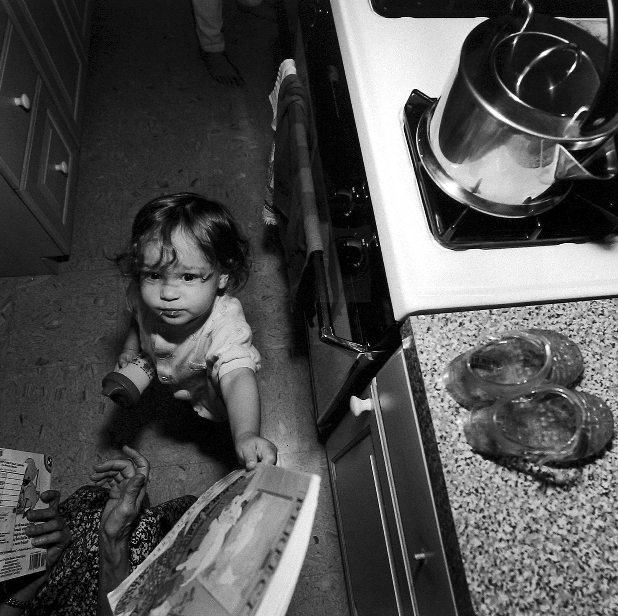 Family: Photographs from Home 2005 Howard Greenberg Gallery