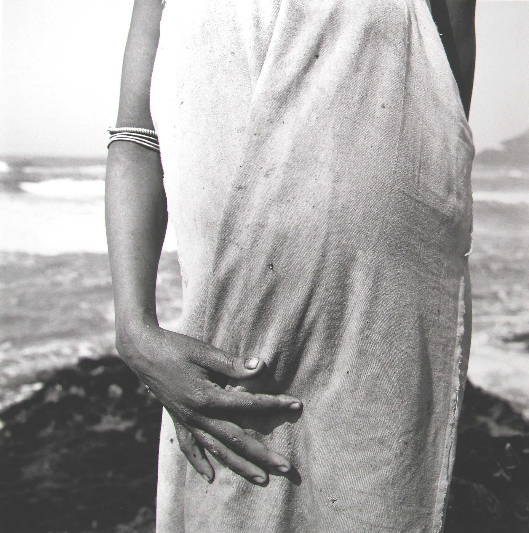 David Goldblatt: Particulars 2010 Howard Greenberg Gallery