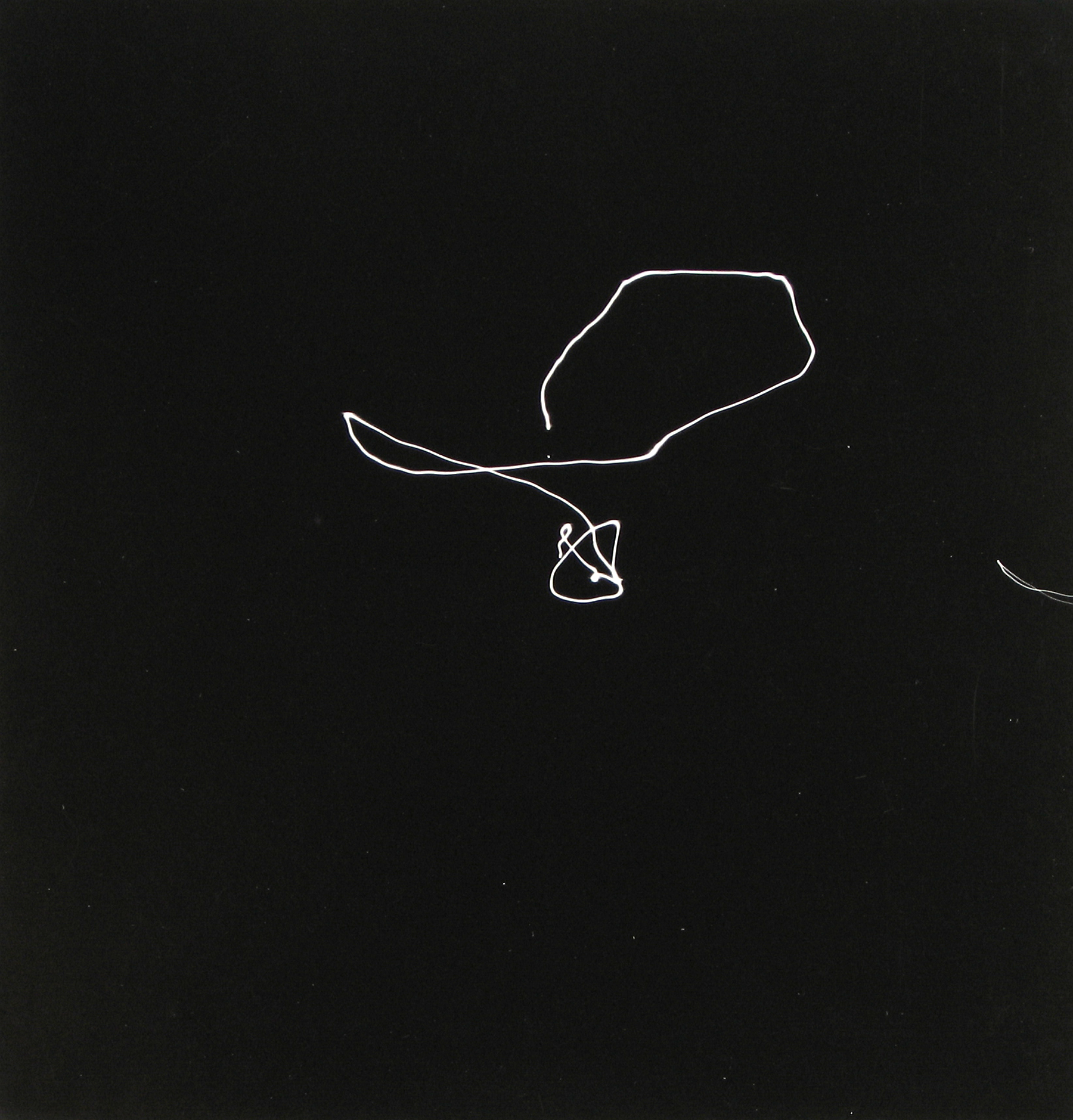 Selections From Private Collections 2011 Howard Greenberg Gallery