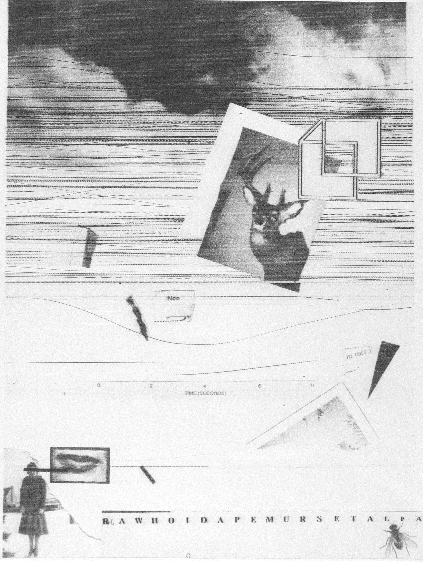 Six from the Seventies: The Last Years of Modern Photography 2004 Howard Greenberg Gallery