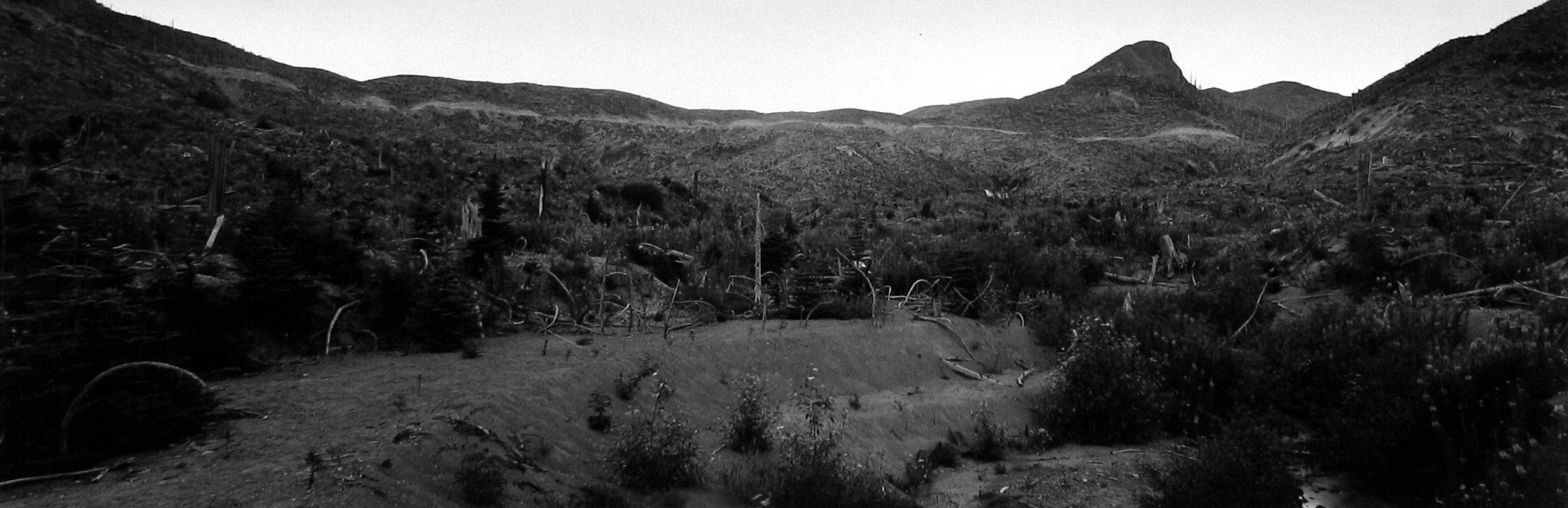 Frank Gohlke: One Thing and Another 2012 Howard Greenberg Gallery