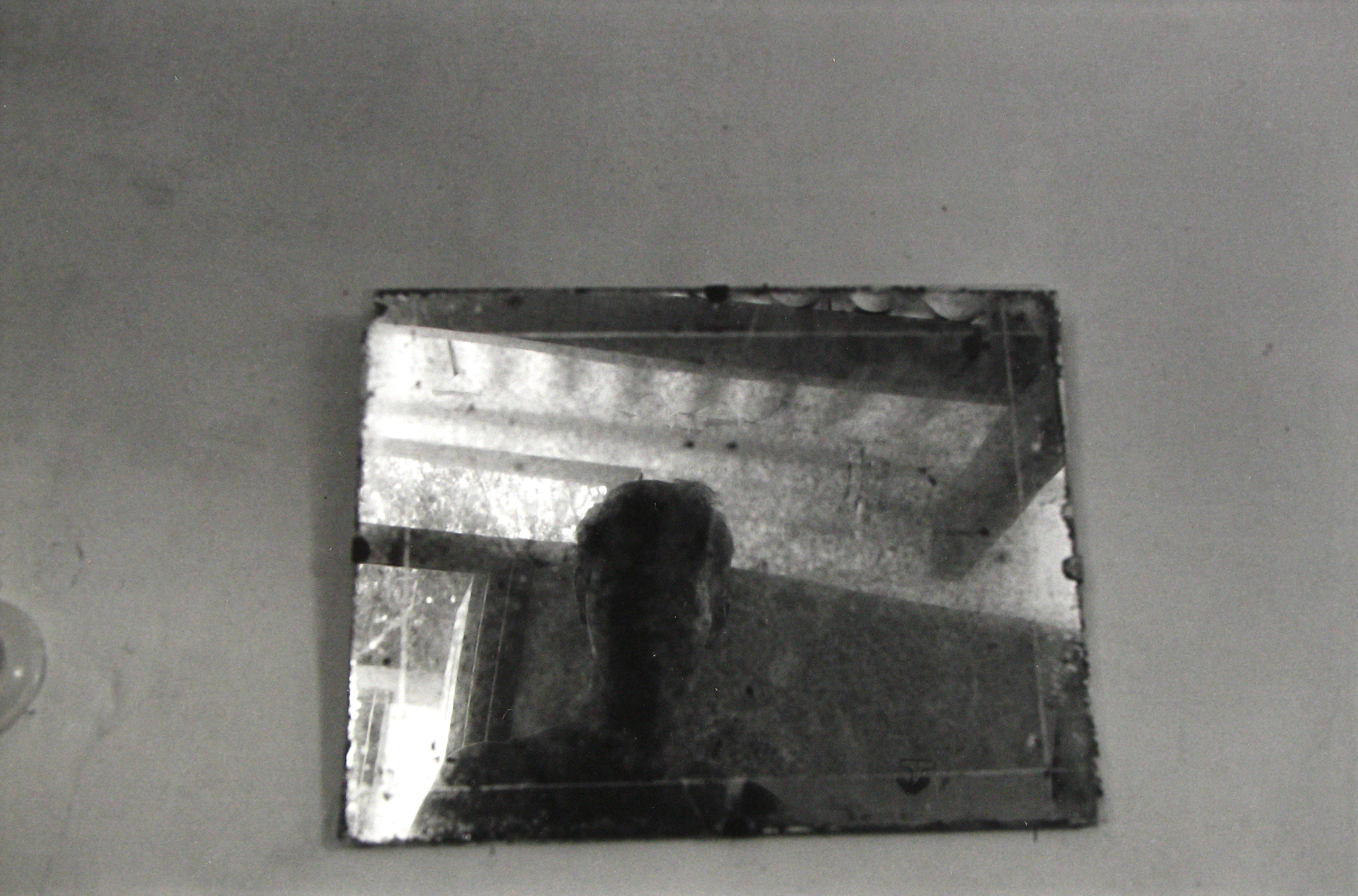 Self-Portraits 2013 2014 howard greenberg gallery