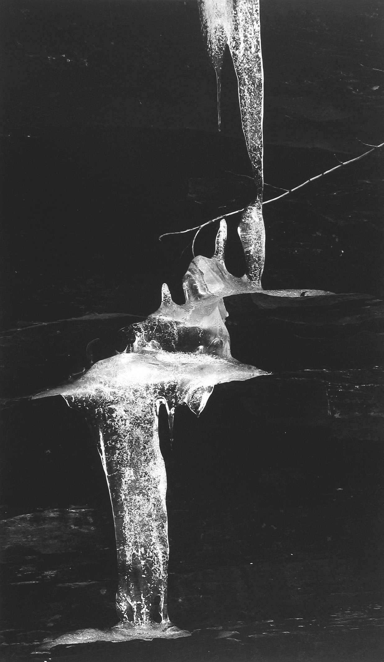 Minor White: Eye Mind Spirit 2008 Howard Greenberg Gallery