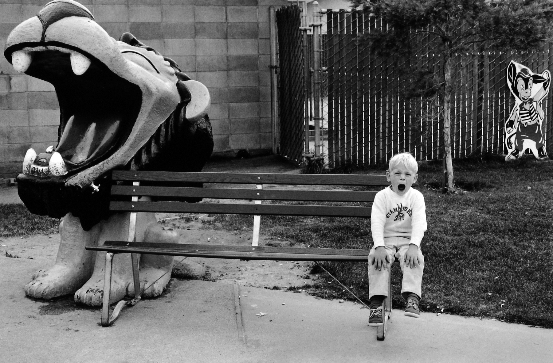 Dennis Stock: Altered States 2009 Howard Greenberg Gallery